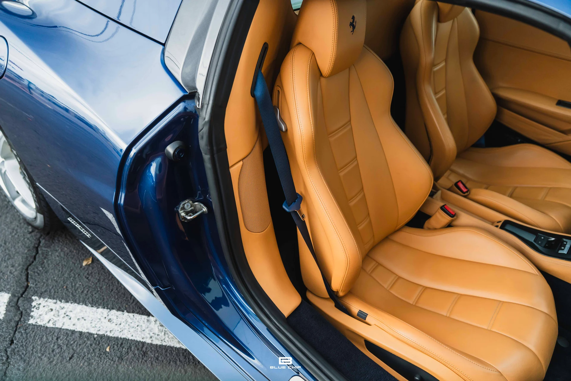 mph069_1291829111_6913b46cba1426c74c8a5691_DSC_09590_48c8c381cd