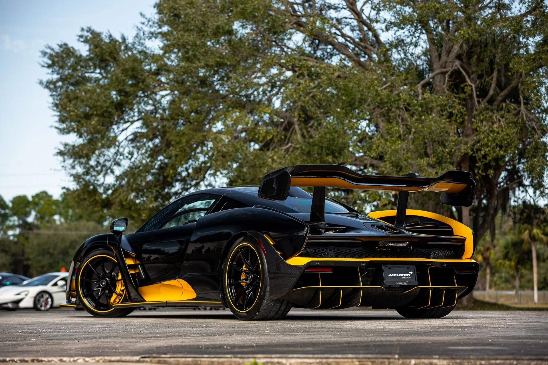 mph069_1955797800_131_p70_l_62032da7e5