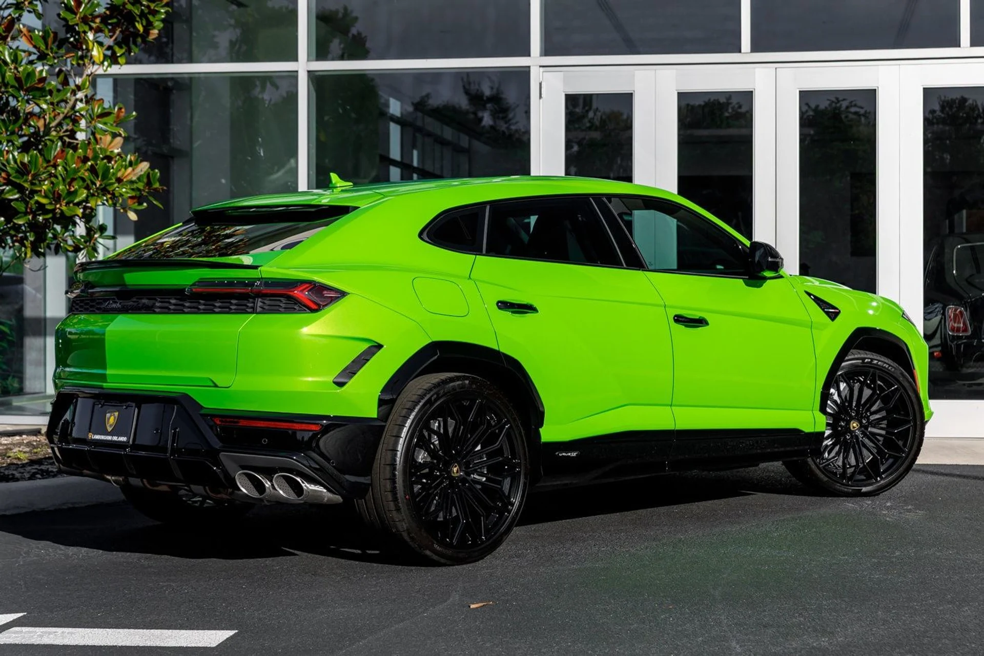 mph069_2985659464_c6cc69b8a9e5da5a4921a7da580709b6x_63f6747eef