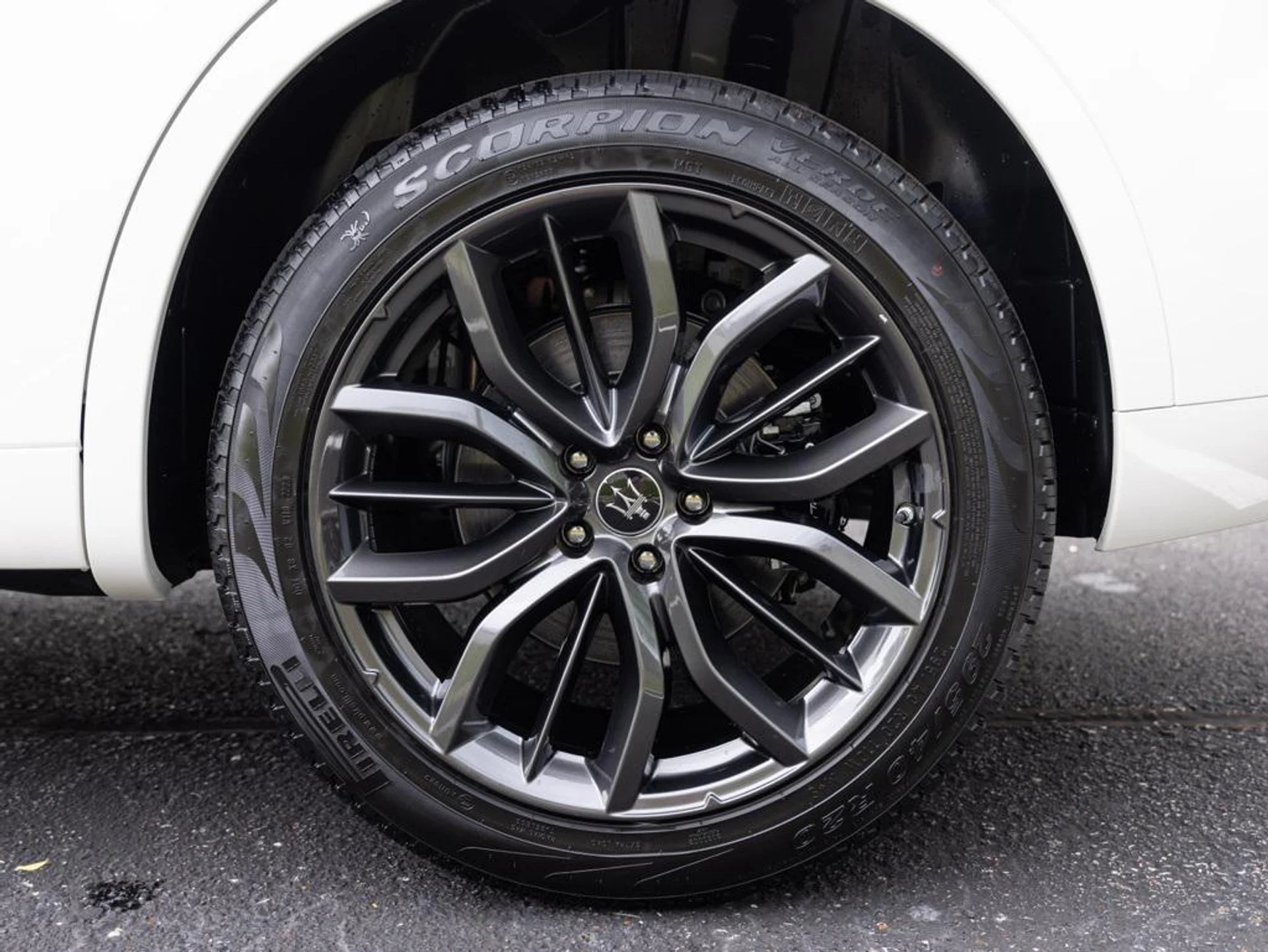 mph069_3398193065_478444804_692f06710d1b9ac3fcfb9c9f_ffeecf2850