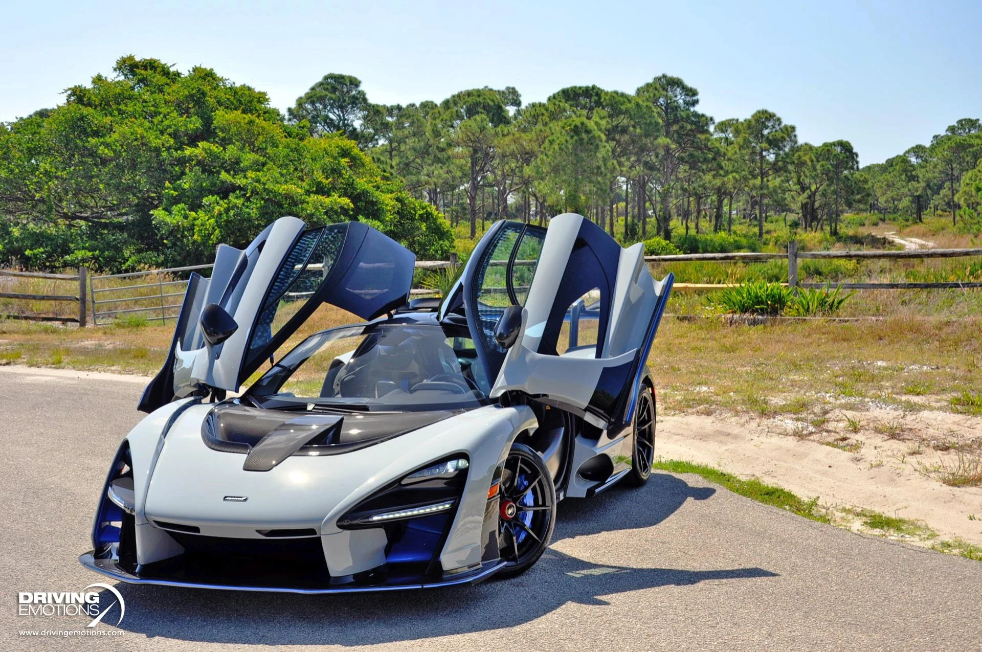 mph069_392175952_683_p70_l_e278a96c56