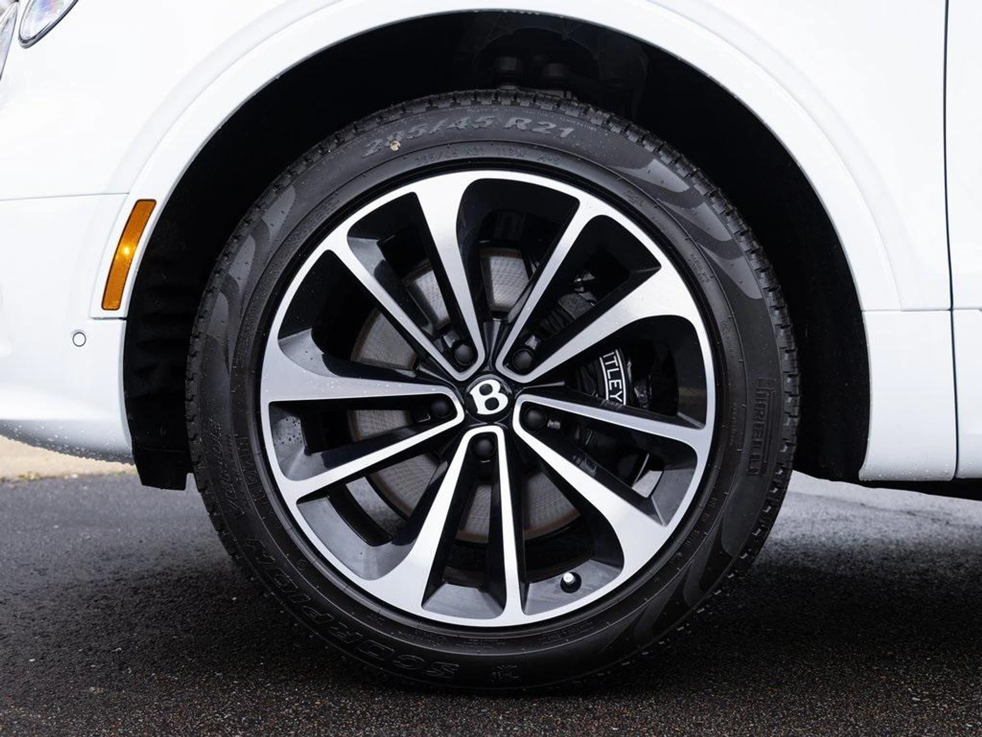 mph069_3938099119_403809831_67c233f46b5617b02de6366b_856f06f324