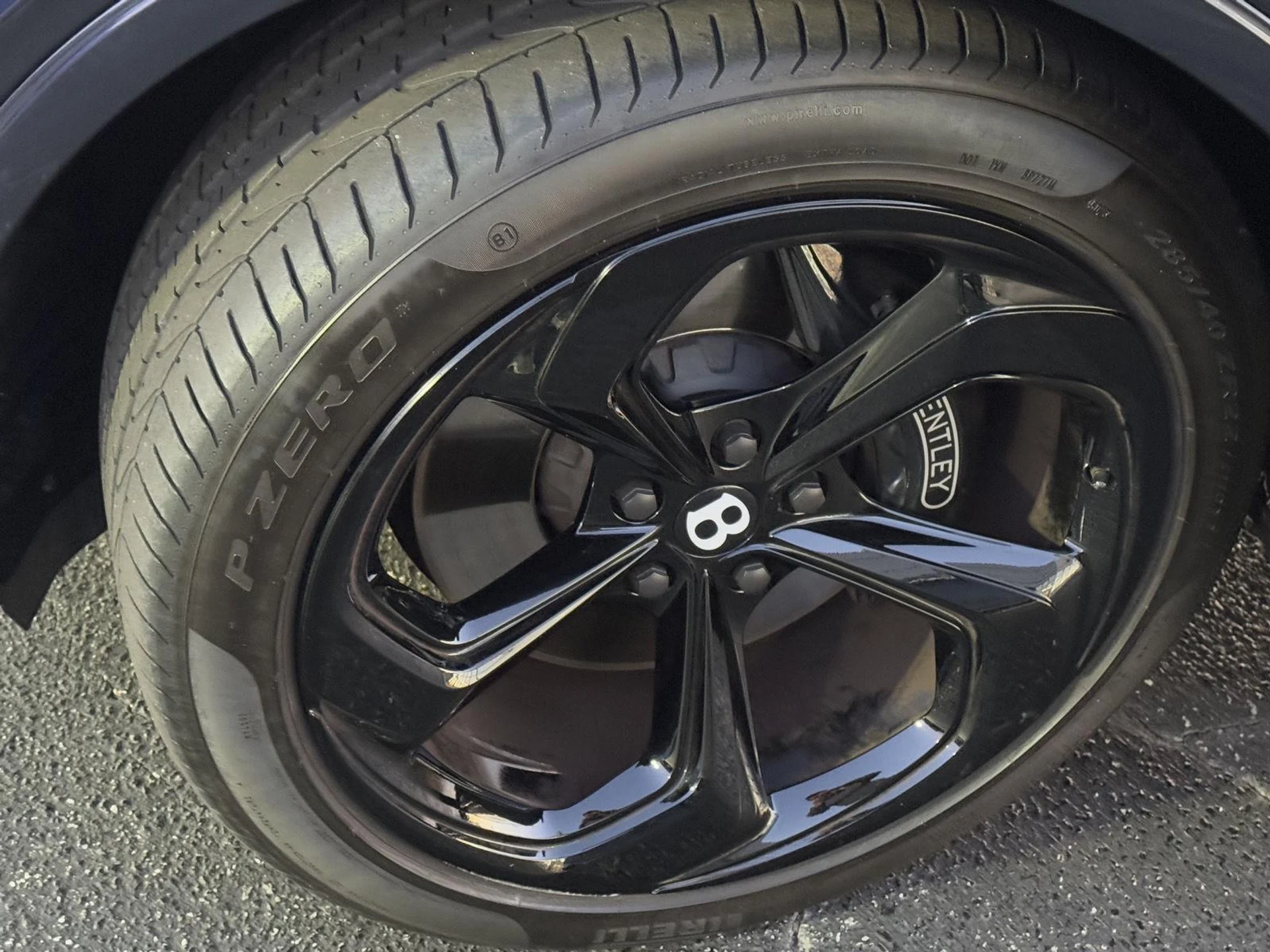 mph069_4049864649_cc9d1d68fe1421090954d19308c39bec_242f22a0d1