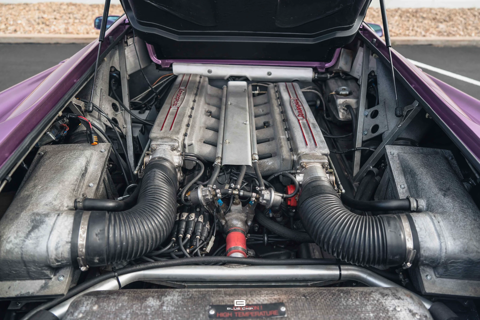 mph069_4193995739_68965f377220ccc8981f85cf_DSC_02176_b748bf11b0