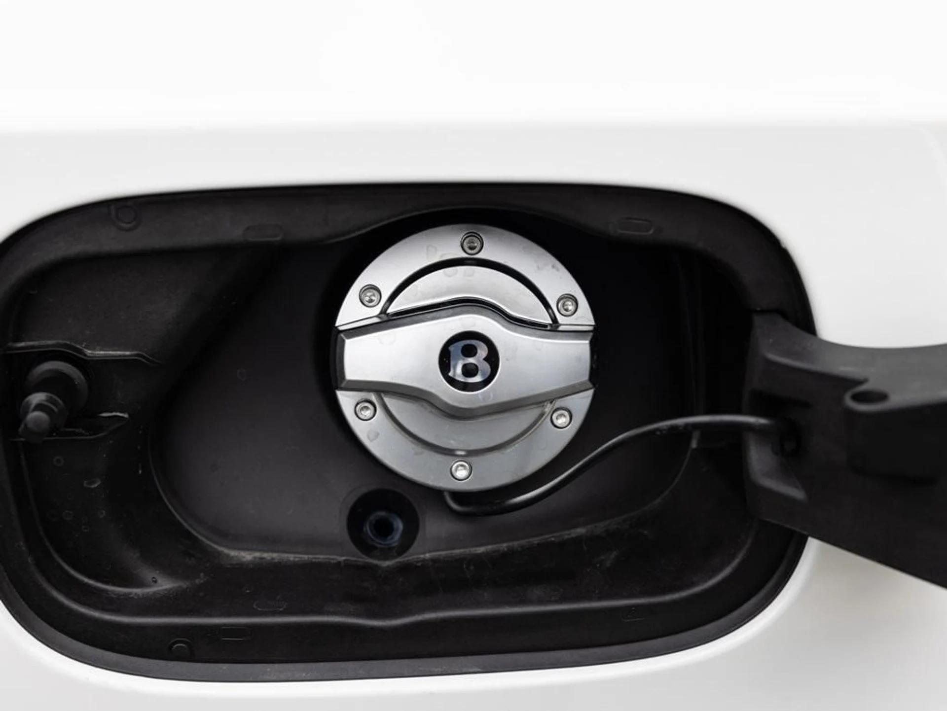 mph069_573093821_480417655_69442341815a036f0aabfc48_b1b31c120f