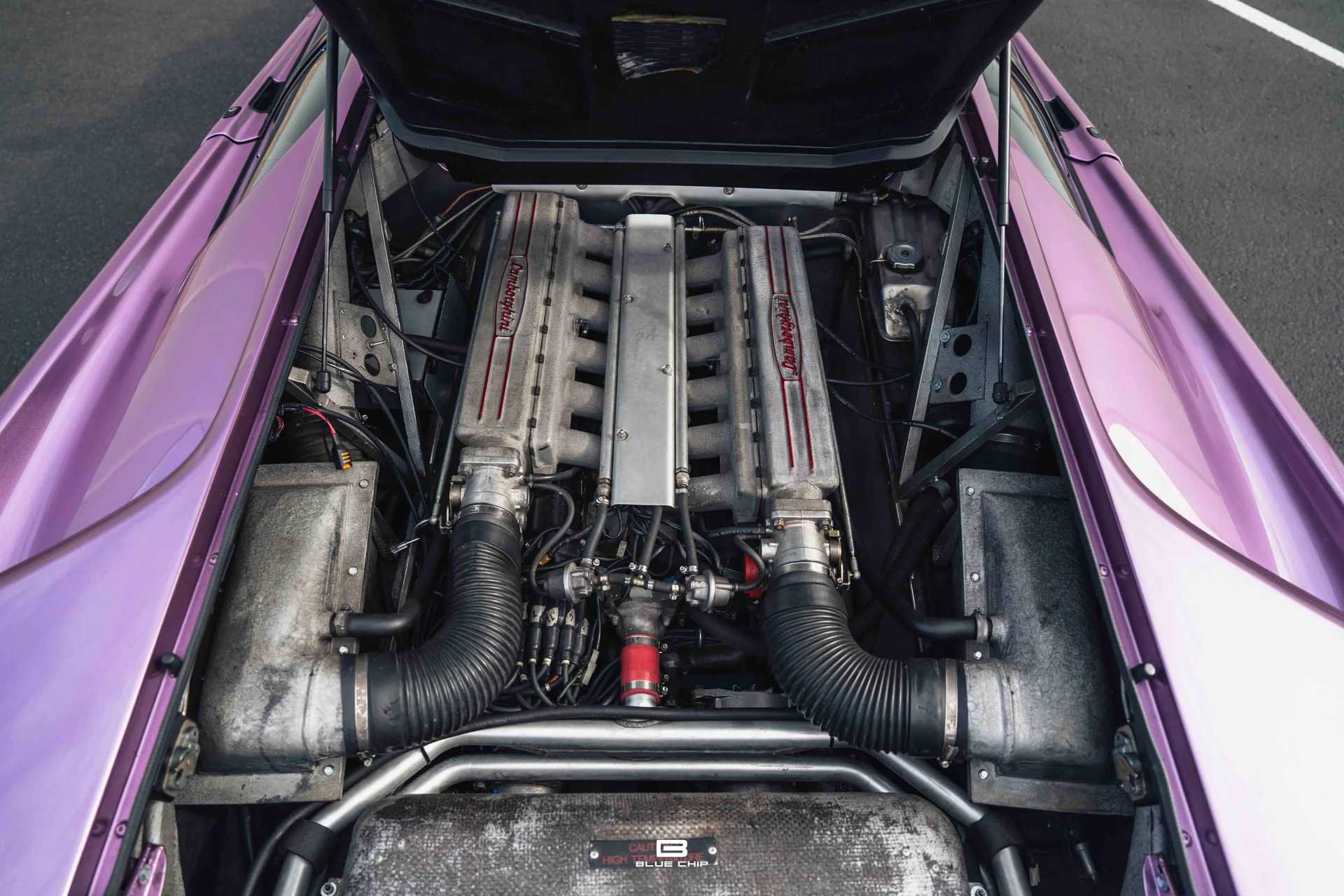 mph070_1284669850_68965f399d57d29a26230a80_DSC_02178_db4fee0a2e