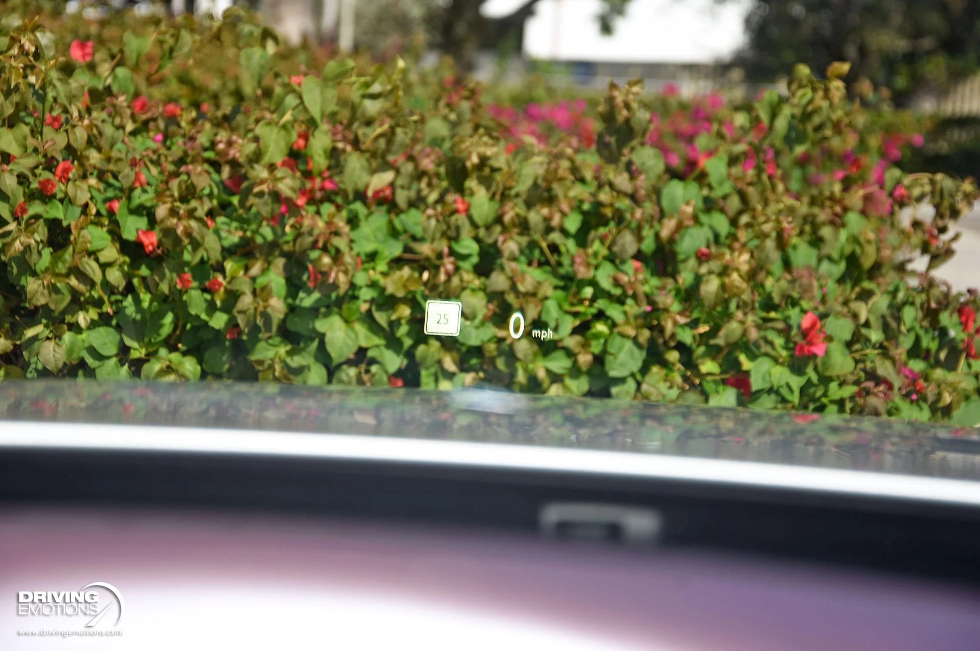 mph070_1540987069_883_p71_l_658cd9c8aa