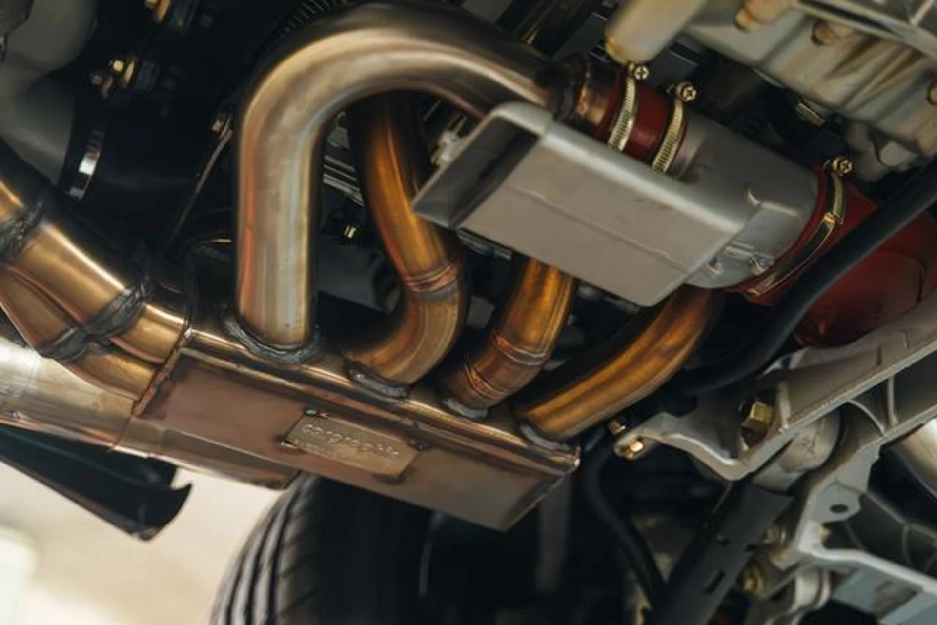 mph070_181552496_dut_Vb_IV_Trpr9c_I_M8_Cfj_Hh_P0t_LQ_05c12ef45e