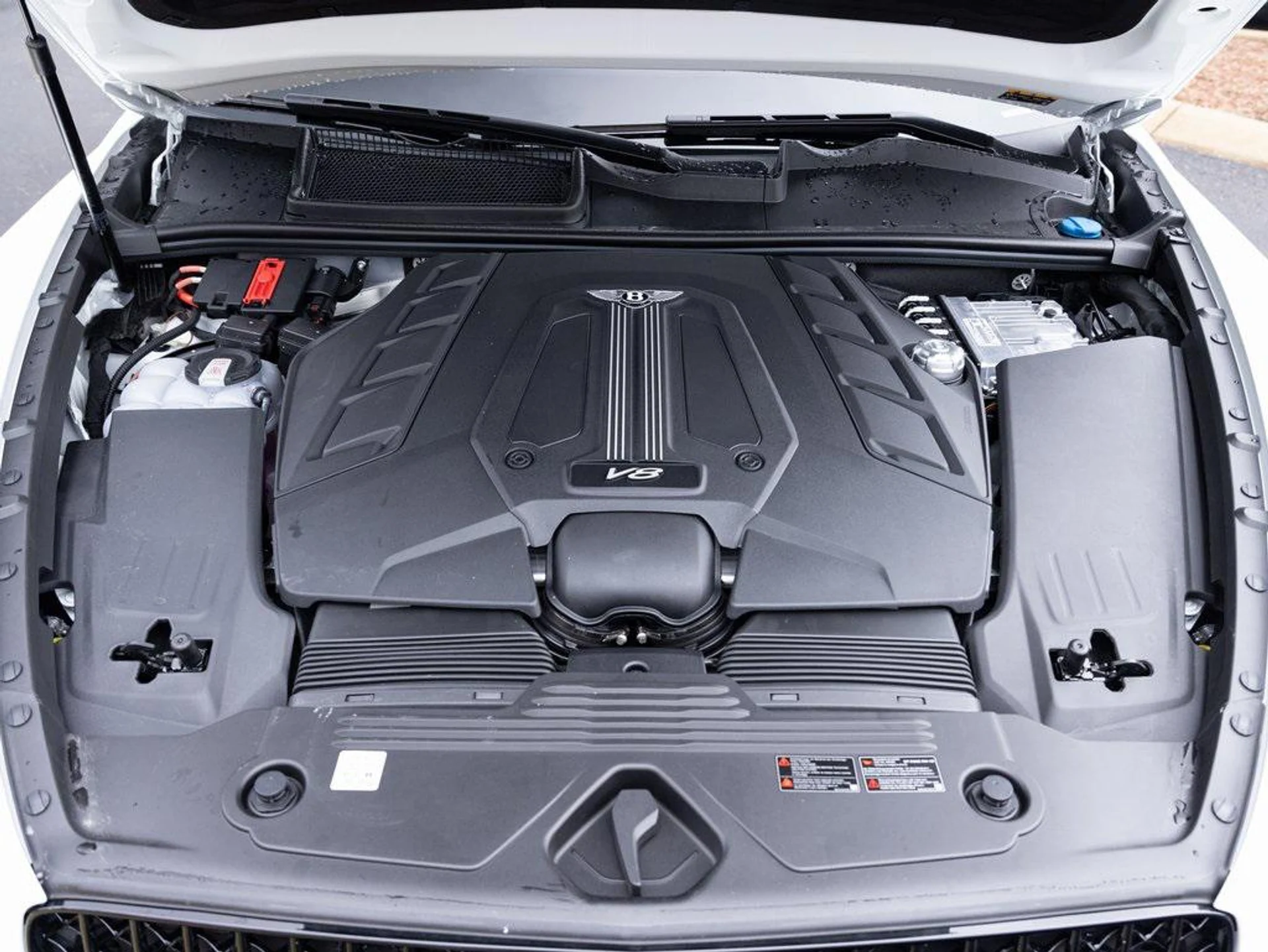 mph070_3038122096_403809831_67c233f46b5617b02de6366c_cf0b3f6975