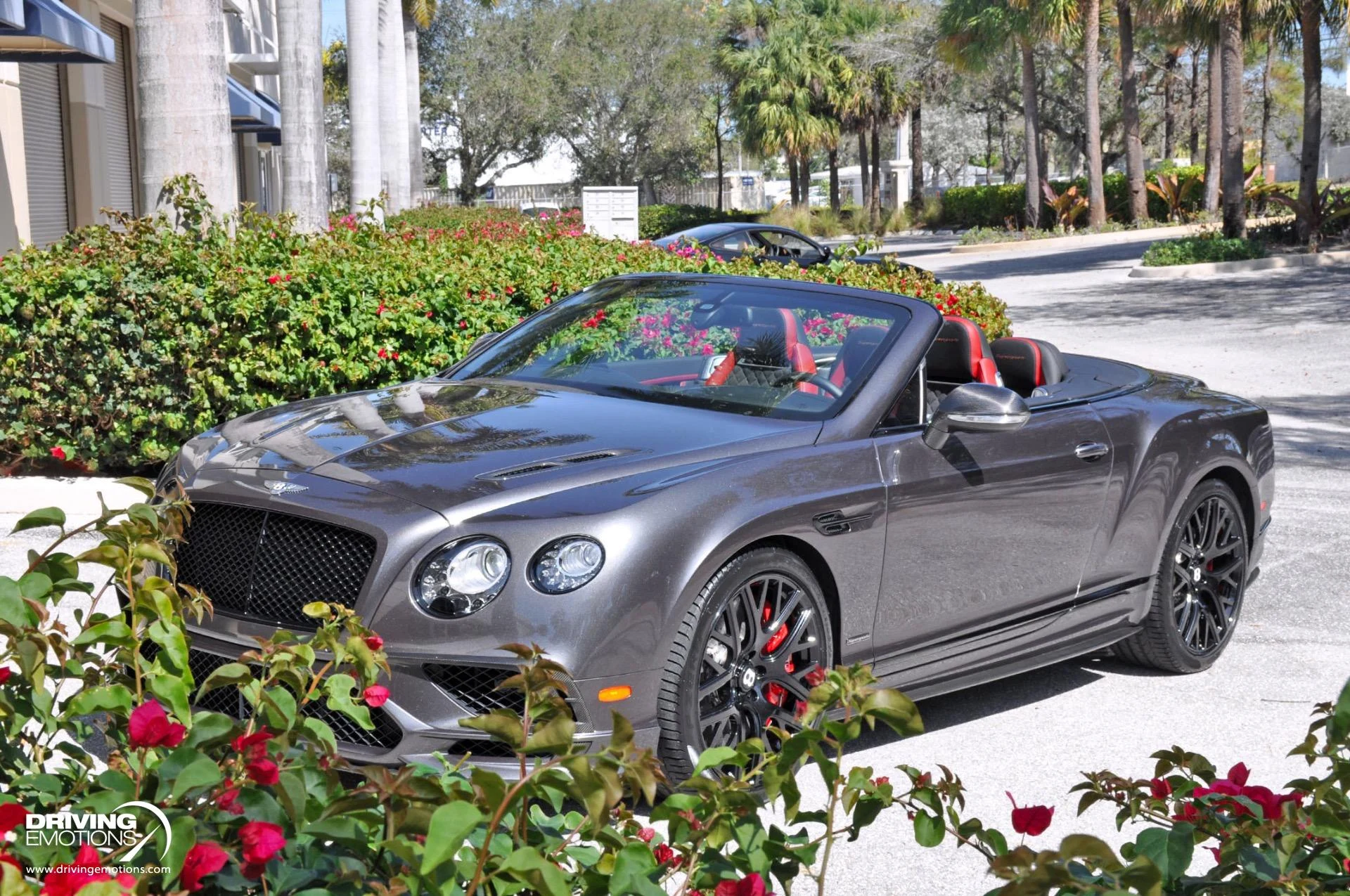 mph071_2254181790_891_p72_l_55d5dd87c2