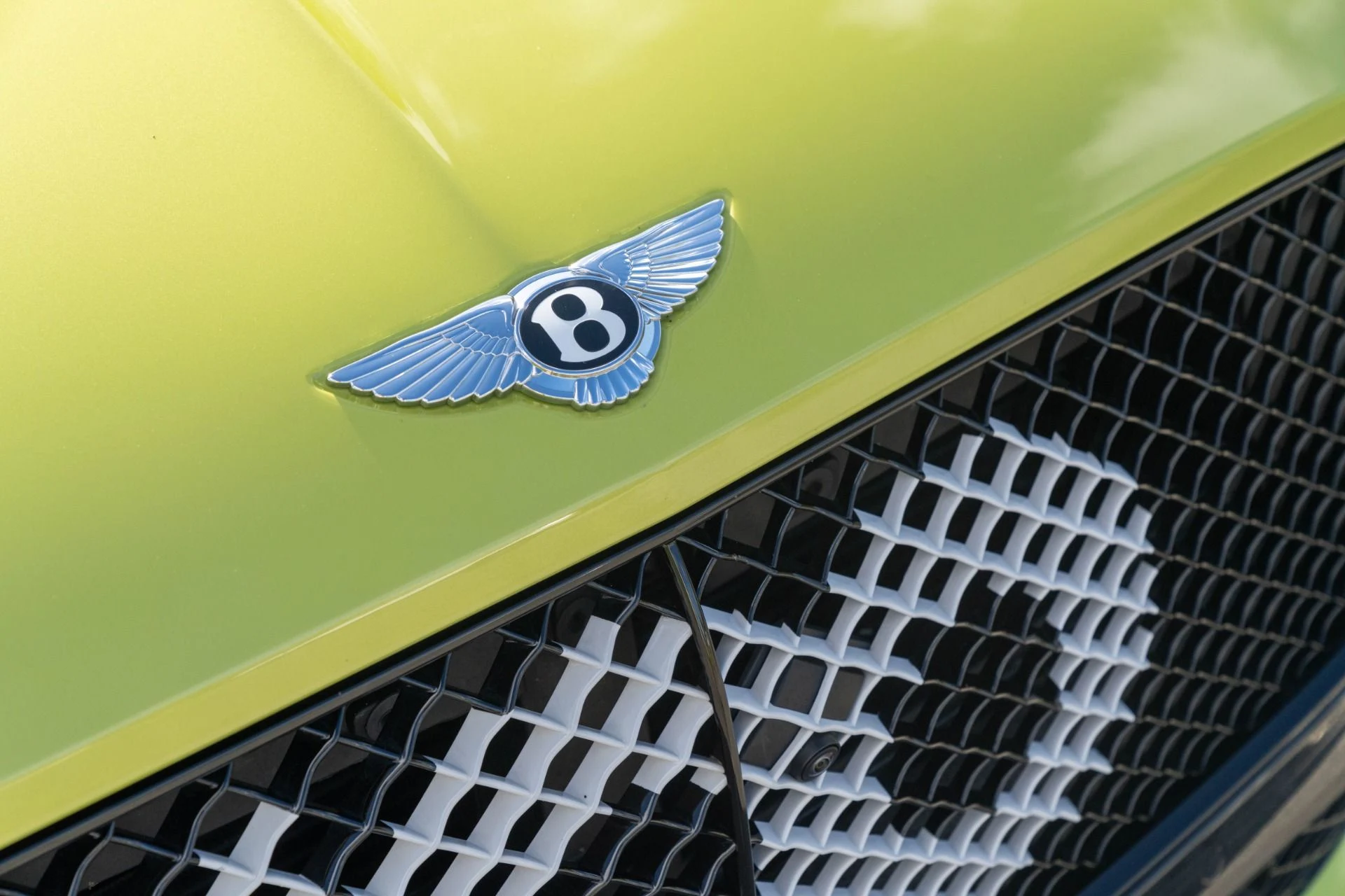 mph071_2732204393_Used_2020_Bentley_Continental_1_of_5_Pikes_Peak_Edition_GT_1761756018_5d52ffc1e1