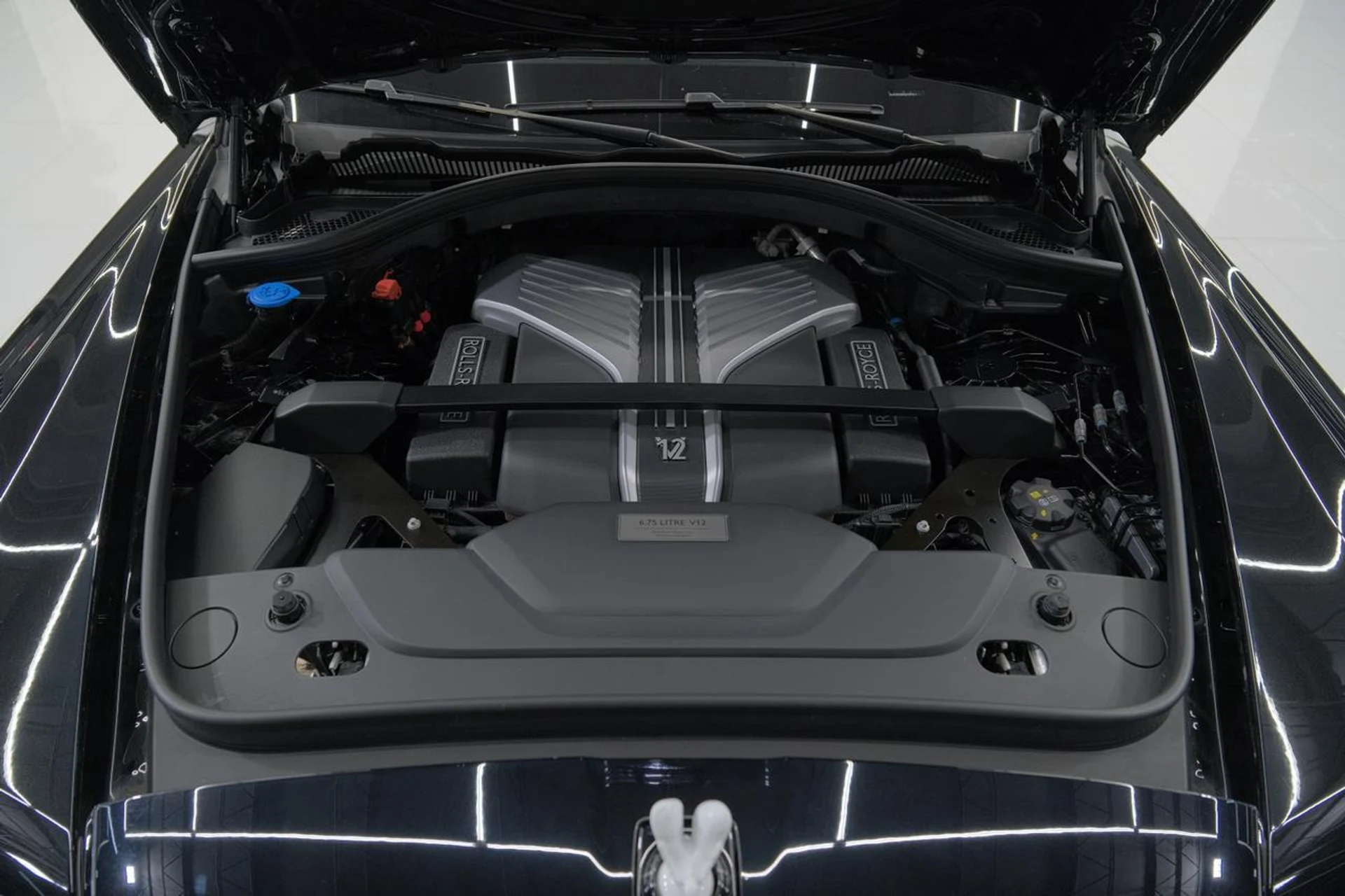 mph071_3055560092_e5f7a17761f96e47ee3b49e9fd292348_ce28887d12