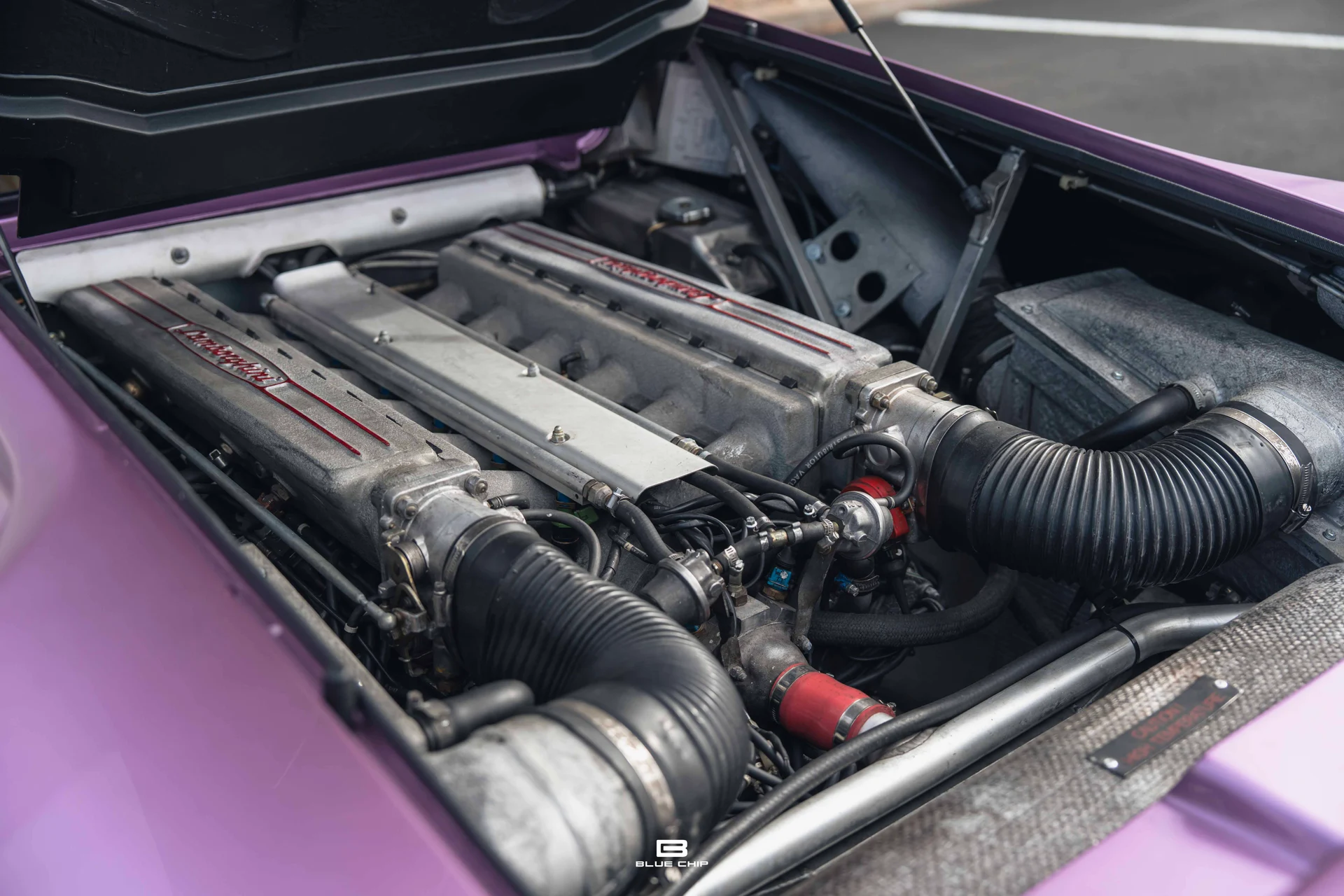 mph071_319219810_68965f3bf1a06e437d96f312_DSC_02180_15640525f1