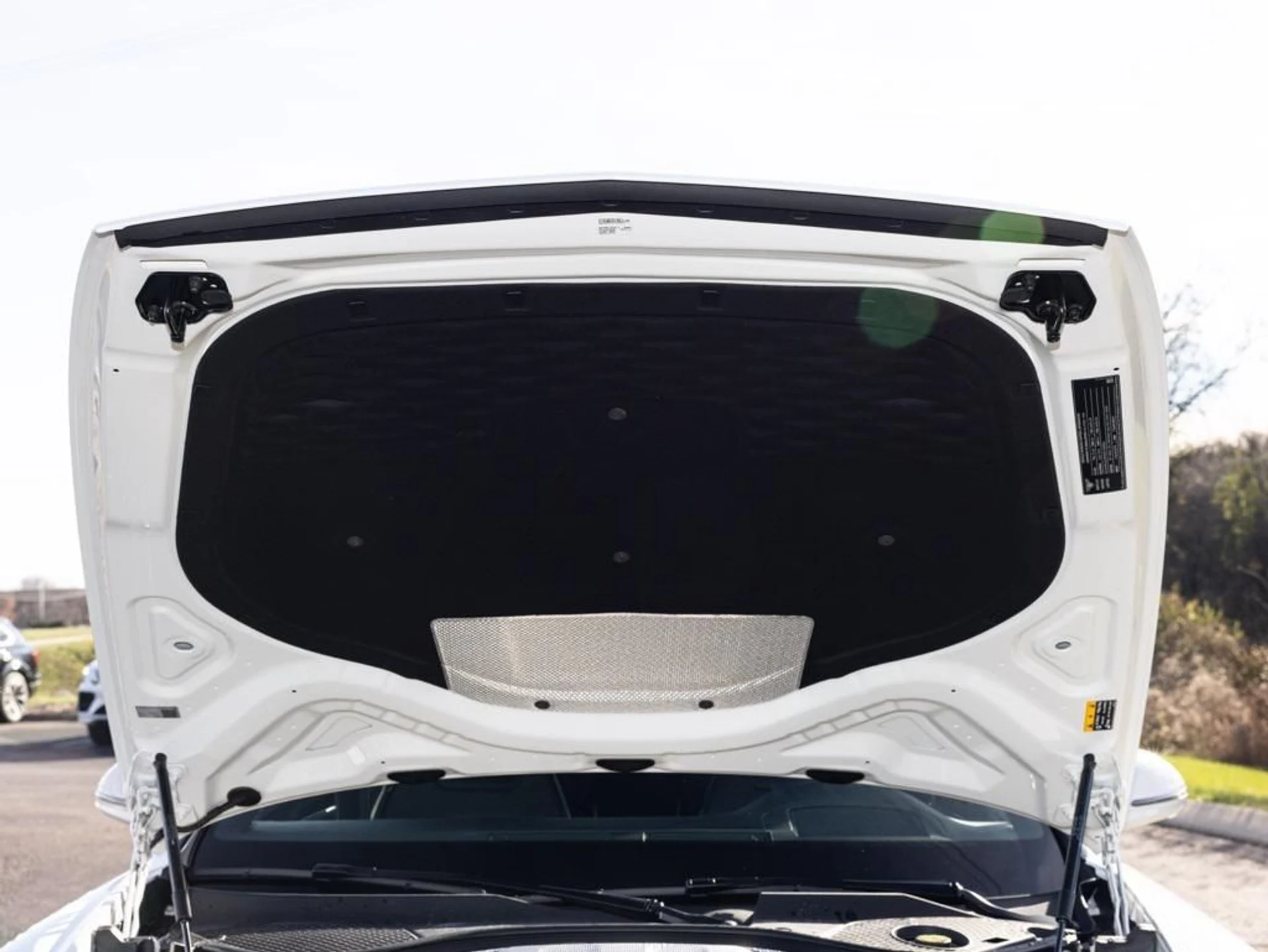 mph071_4202289175_477125128_692b3289b578948aa2d412af_2fedb4730d