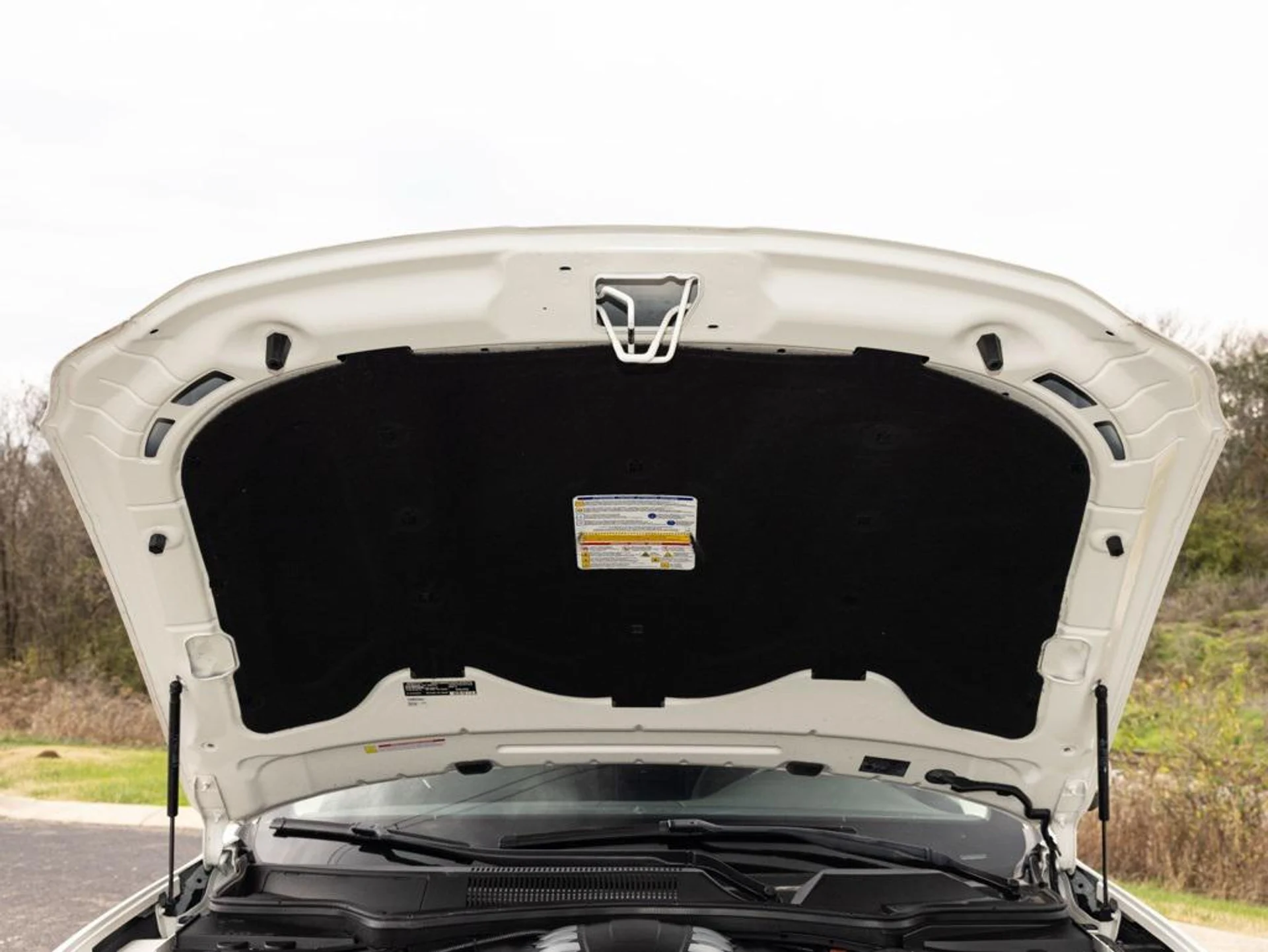 mph072_1138111480_472374605_6925efe842064a968b9b85f0_4eee238d57