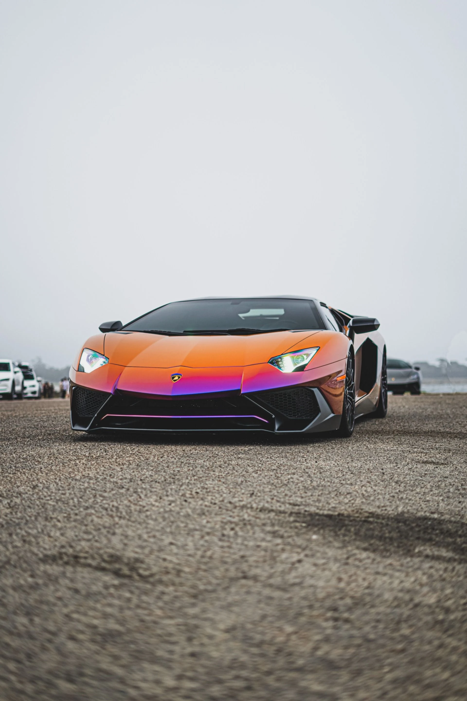 mph072_1290978618_8742_p73_l_e8d7a3b00e