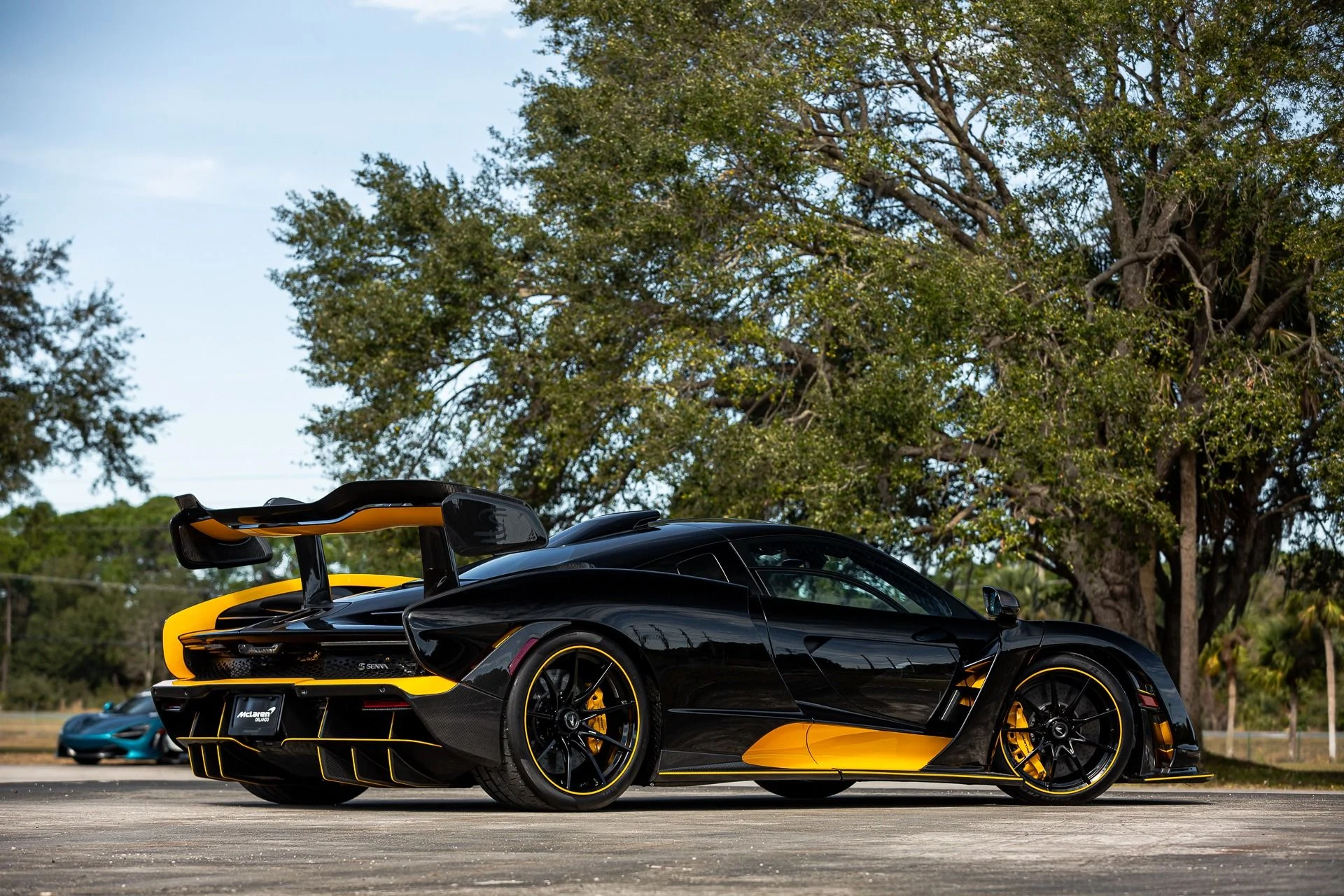 mph072_1917587100_131_p73_l_2c07e85bf0