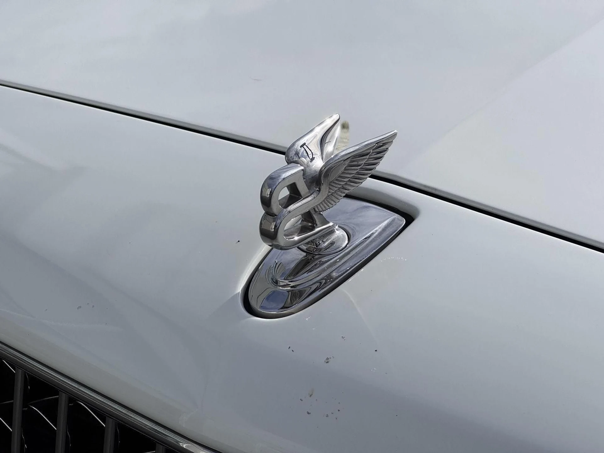 mph072_2633249703_29f543e7fd98a58350e0f570c7eb245e_c3419cce99