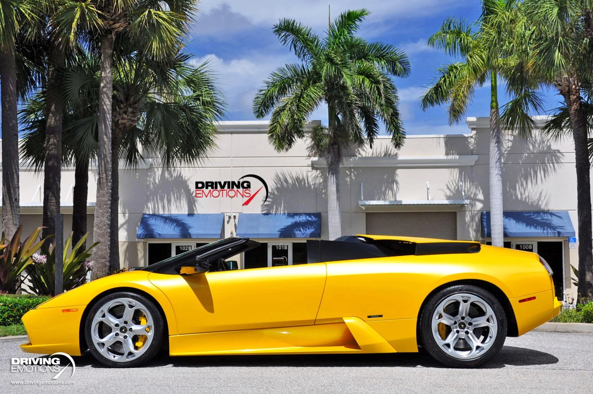 mph072_3372819289_862_p73_l_4299d8fd1e