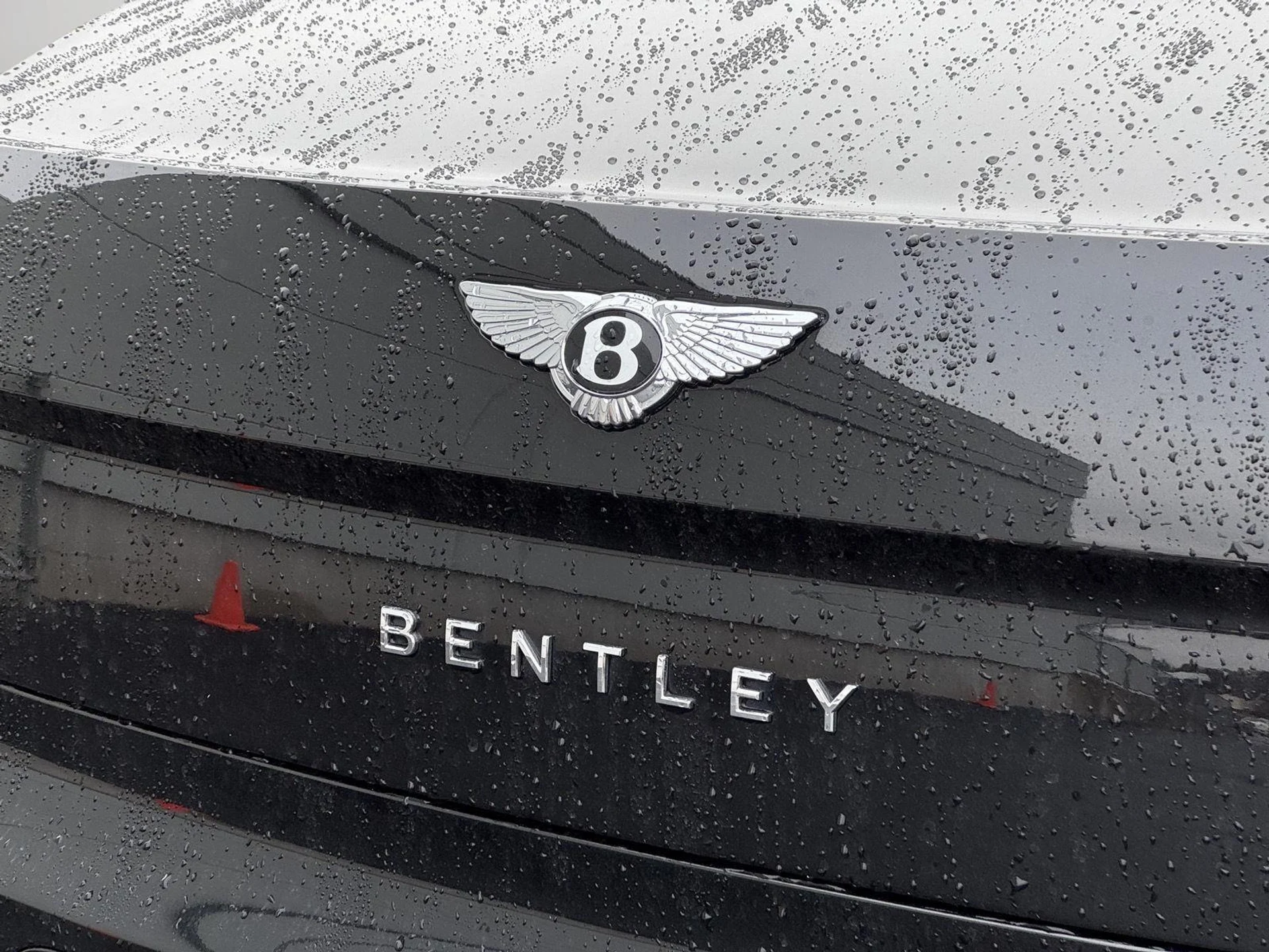 mph072_3785666569_161f408de060e48cd5a3f8a7626814d3_e2ace6b65b