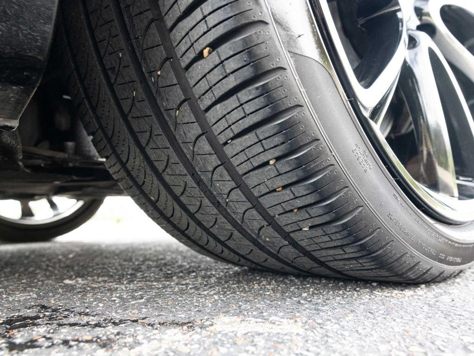 mph072_4088210699_502891109_69c2b0b80101ed4b1a20829d_6f2e1bc6d7