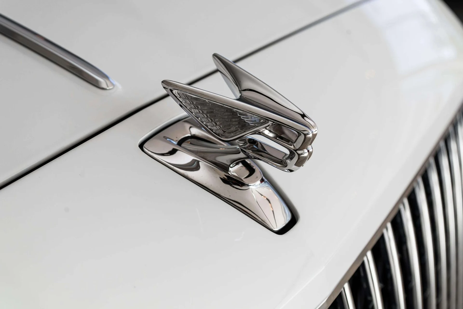 mph072_4257452481_5ca6c3ca_eacc_4426_ad34_86cd2a064a1b_9d81315b2d