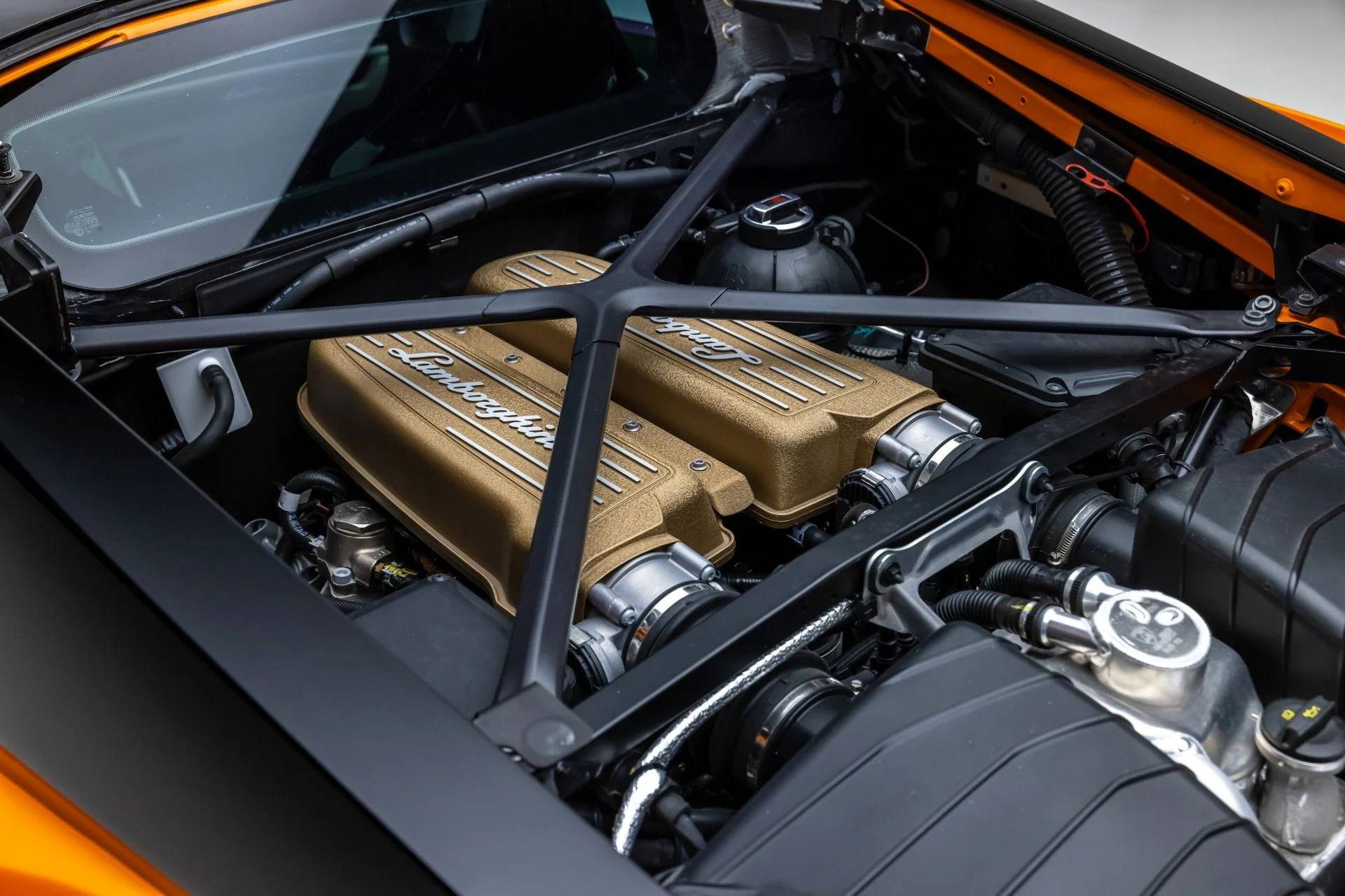 mph072_436869356_13165_p73_l_149c3b5f9c