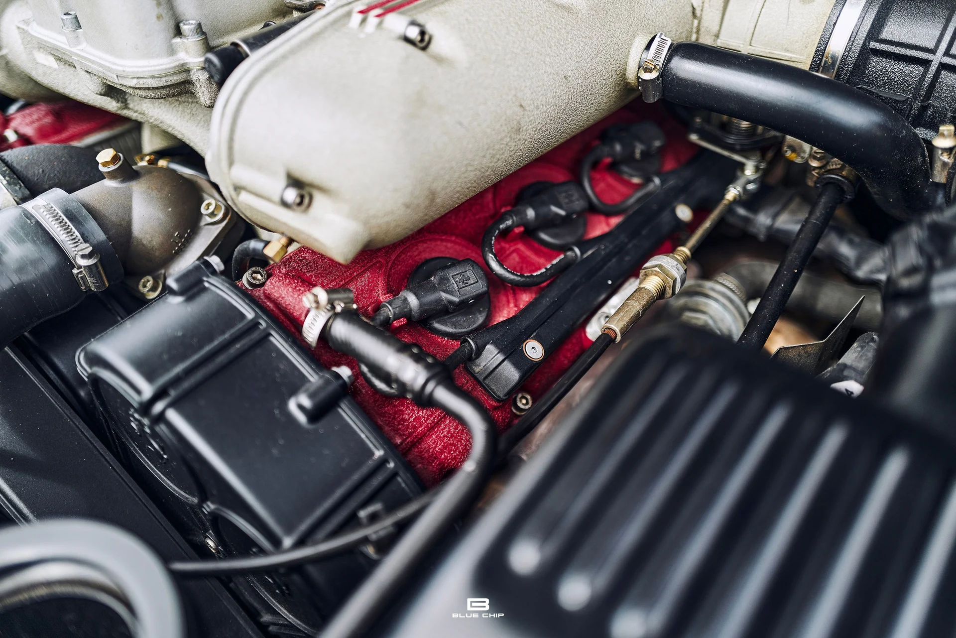 mph072_496267240_69b474b13d9906e080c41d76_L1190487_6a57c4969c