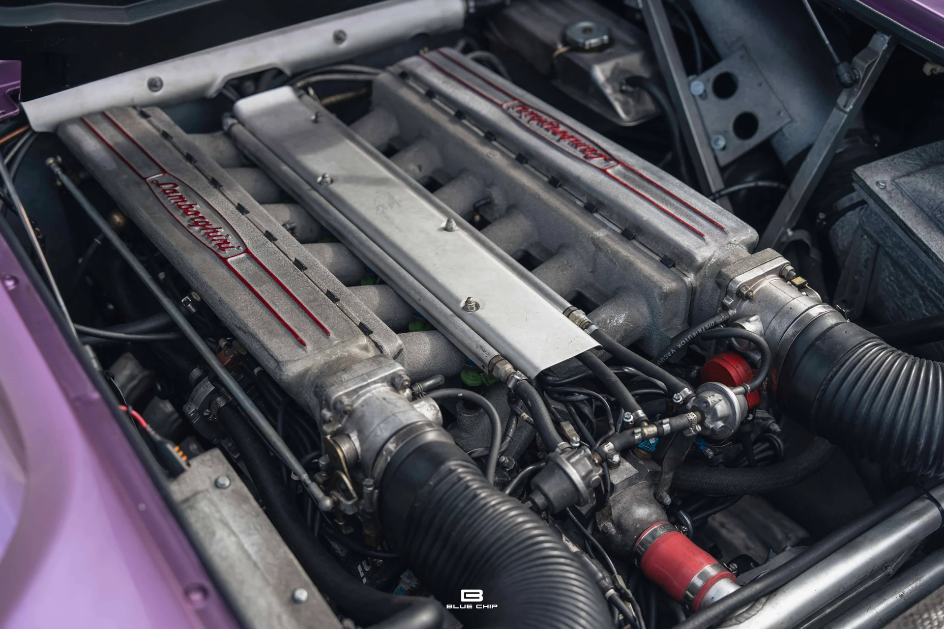 mph072_740387243_68965f3d9d57d29a26230add_DSC_02181_0f0e6de114