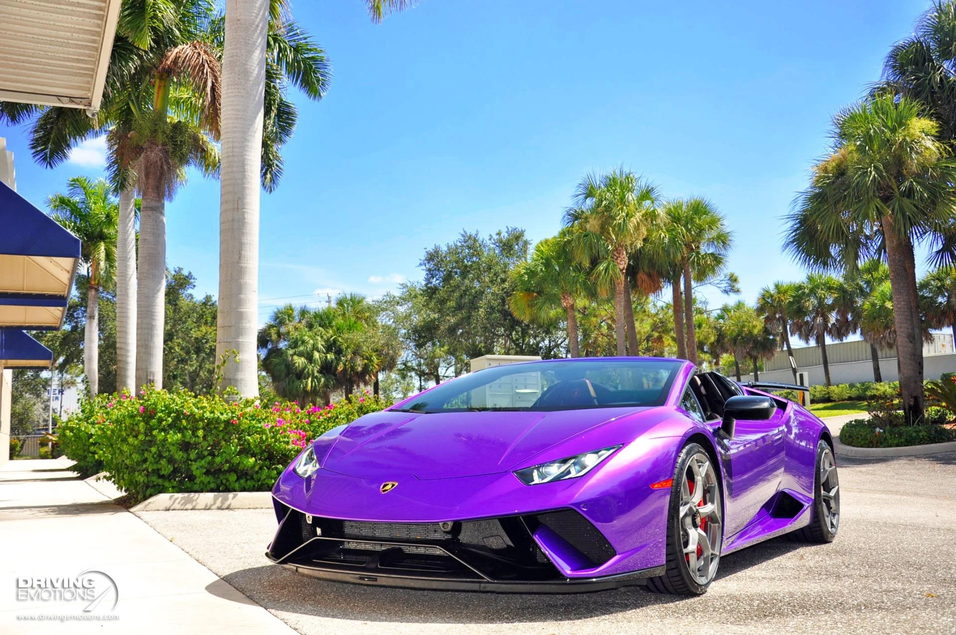 mph073_1085398696_863_p74_l_18cfa27862