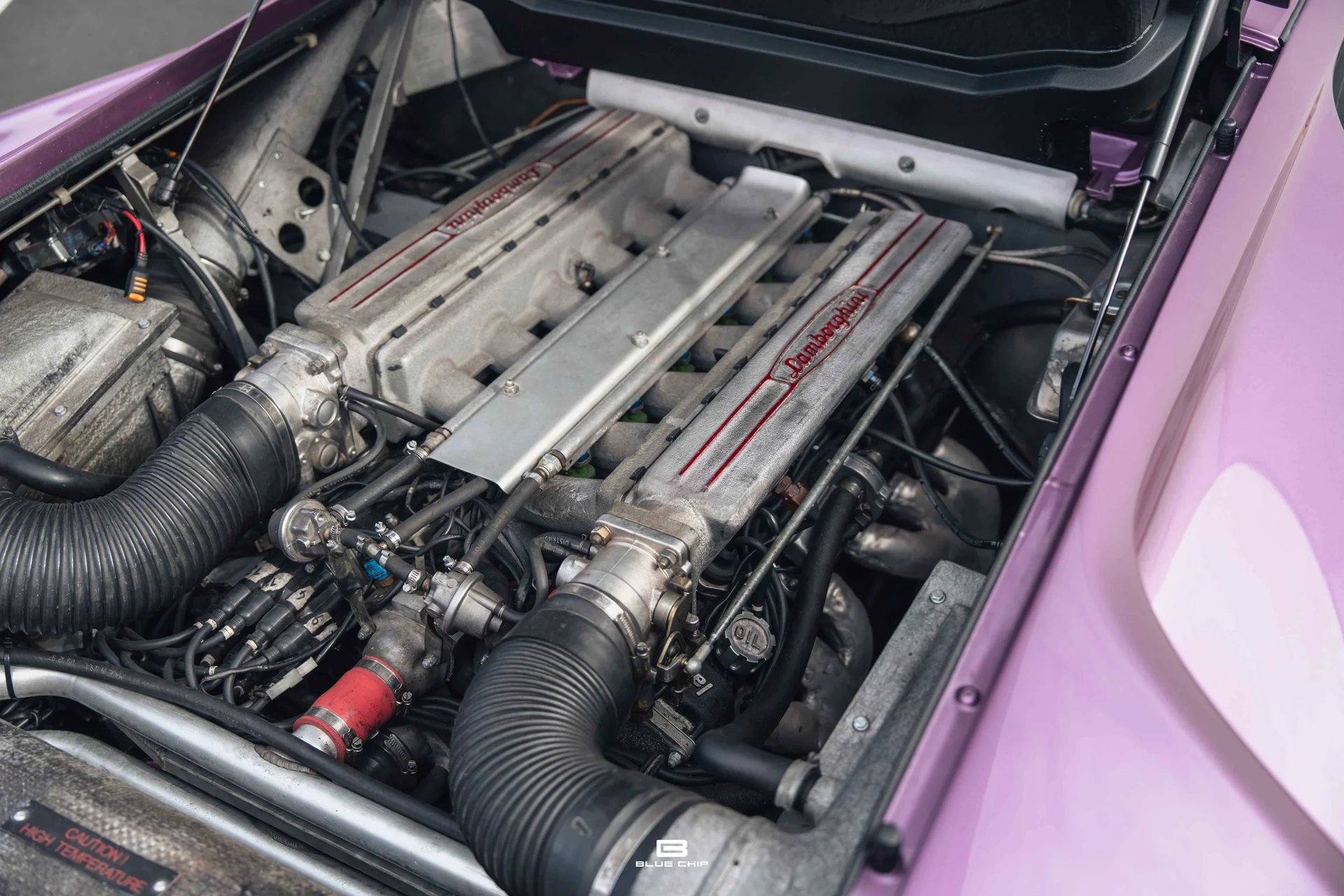 mph073_1333210684_68965f3f84c7393e8e75641e_DSC_02182_34c01d07b5