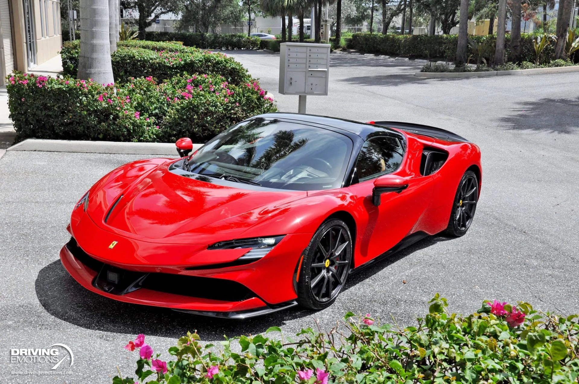 mph073_1546057165_860_p74_l_5392248294