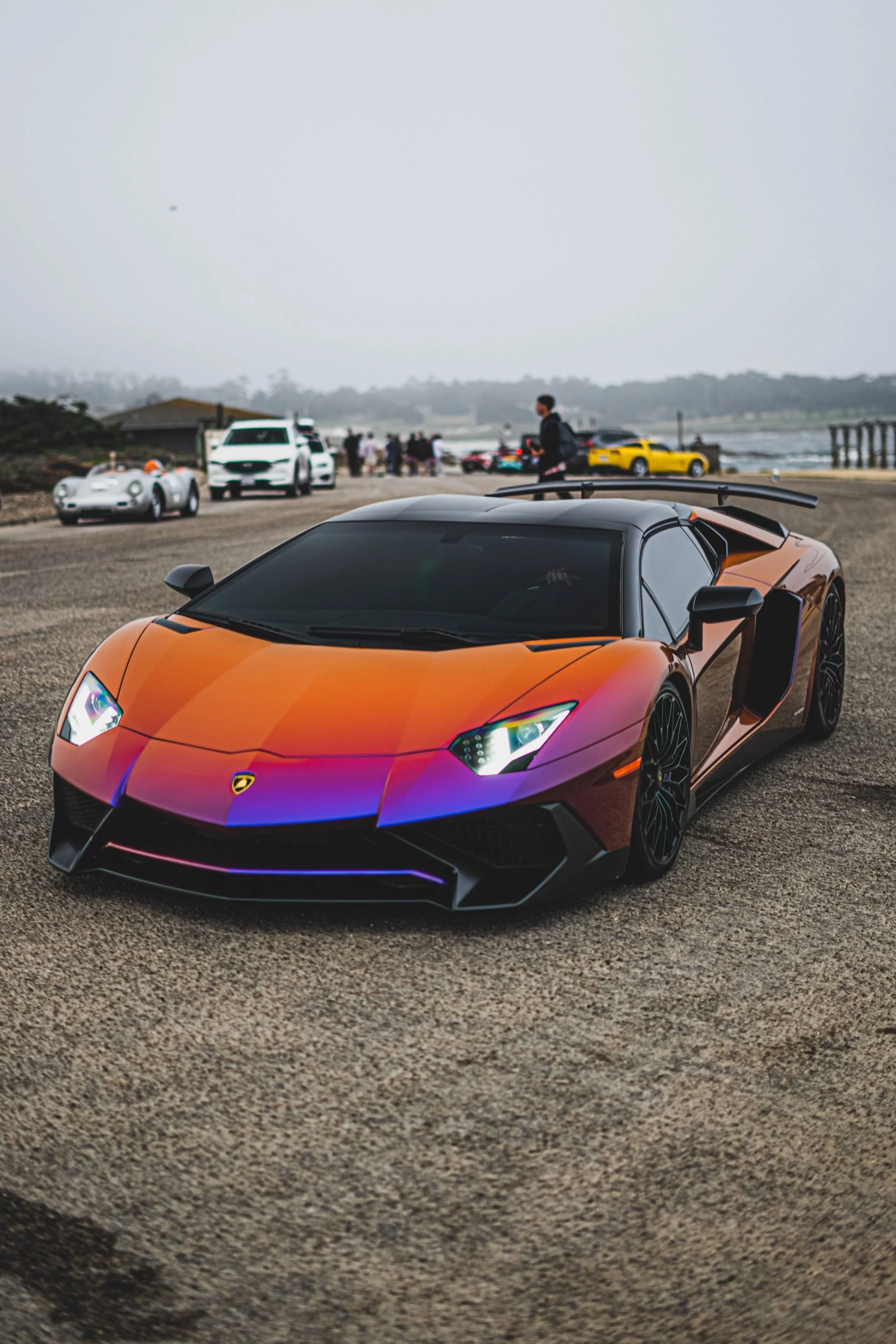 mph073_1774656264_8742_p74_l_3ceb570531