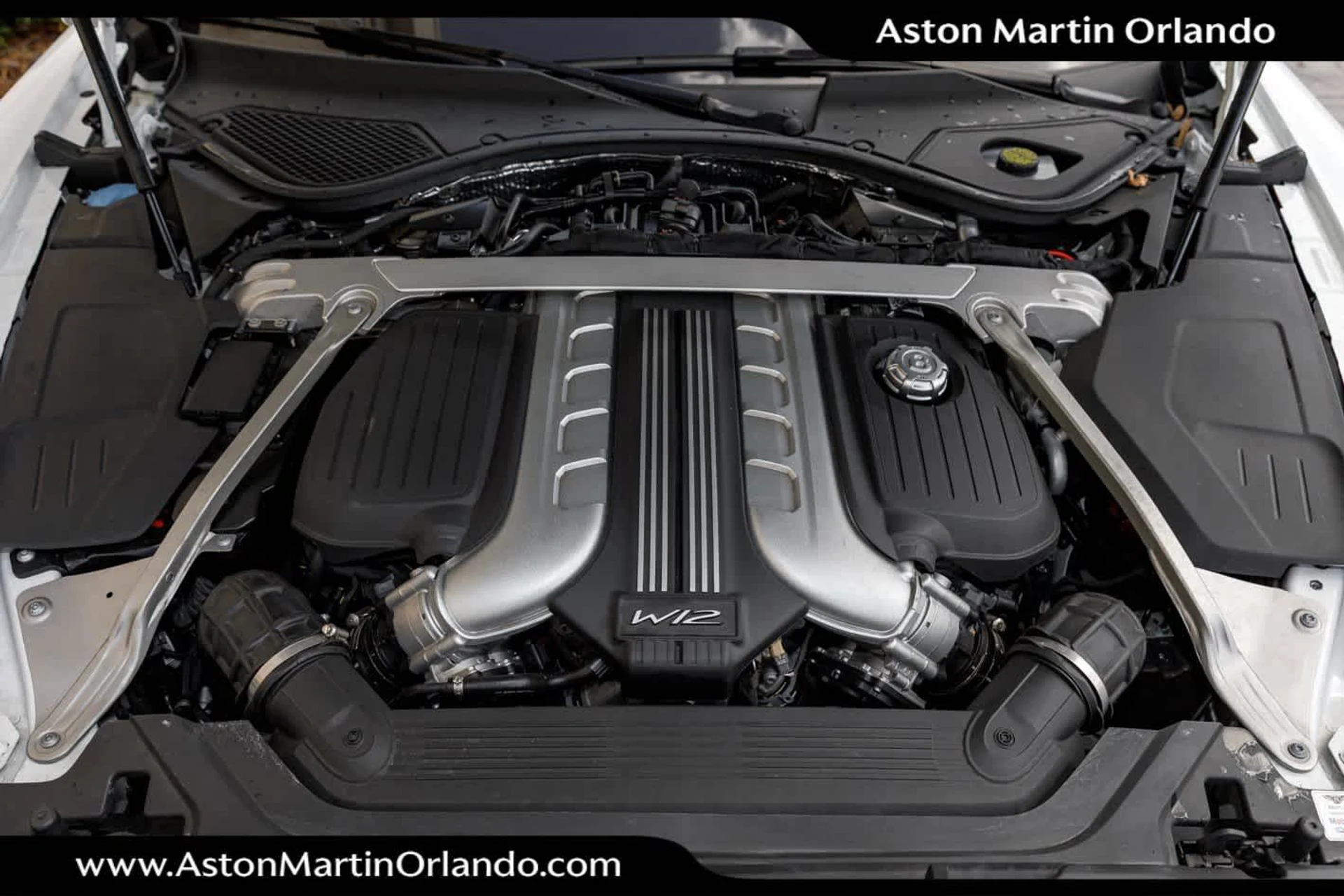 mph073_1906278502_74_029cae6f6a