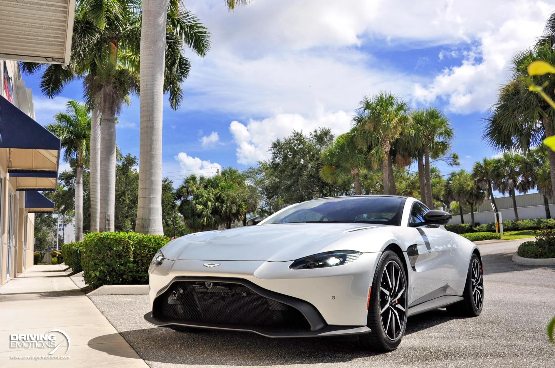 mph073_2519259693_880_p74_l_f1accc6a09