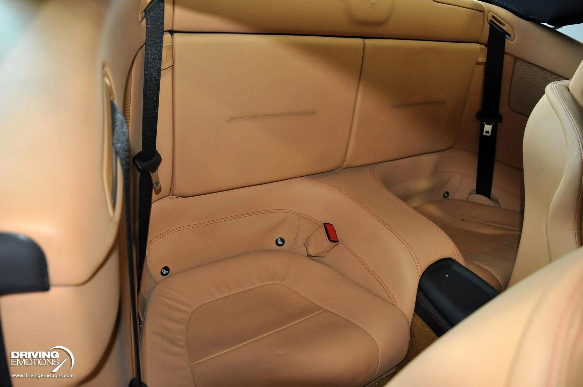 mph073_2569982710_505_p74_l_4767d76532