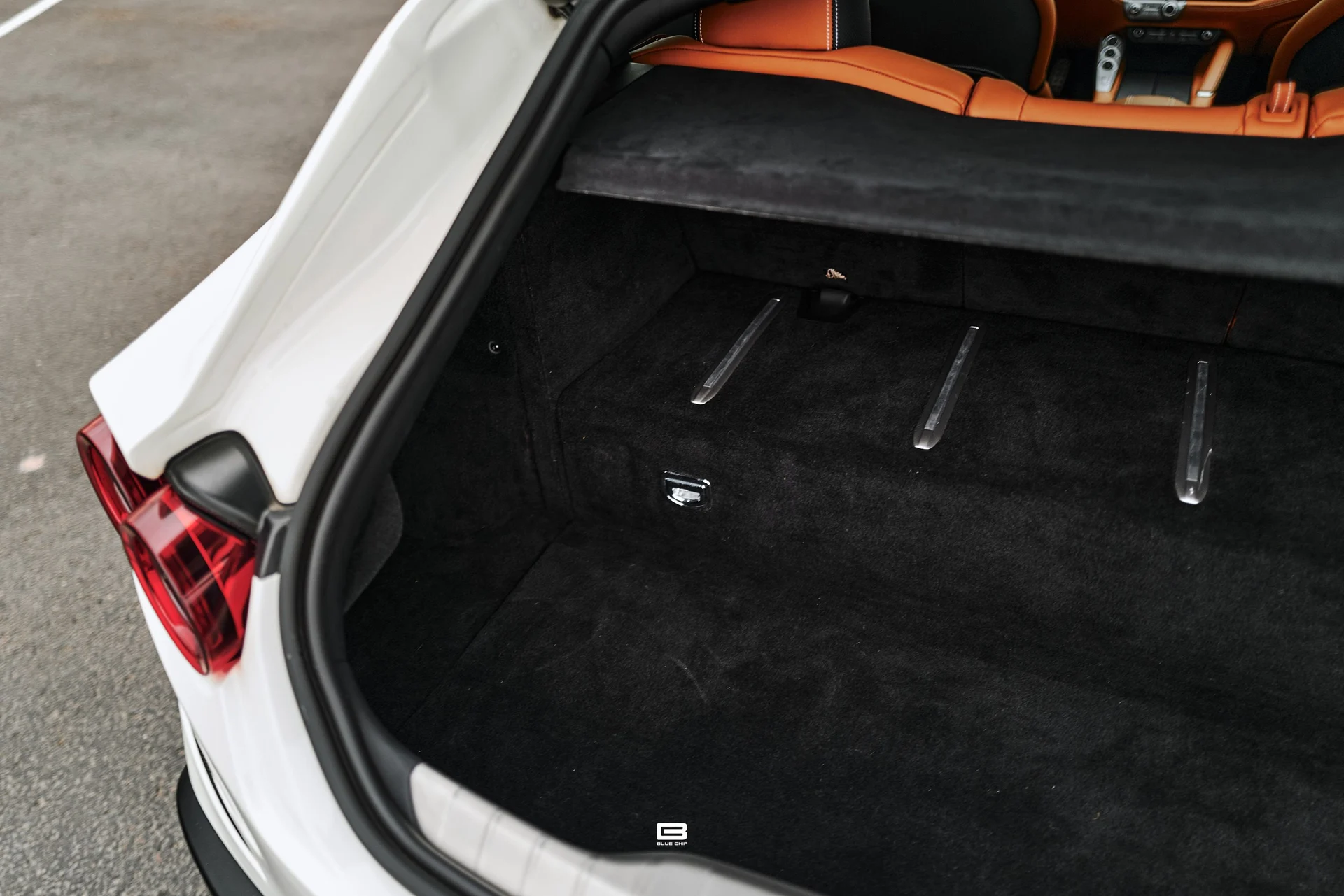 mph073_2760394398_69e2a49b60215ed02e4e50f3_L1220608_aa5c064bf5