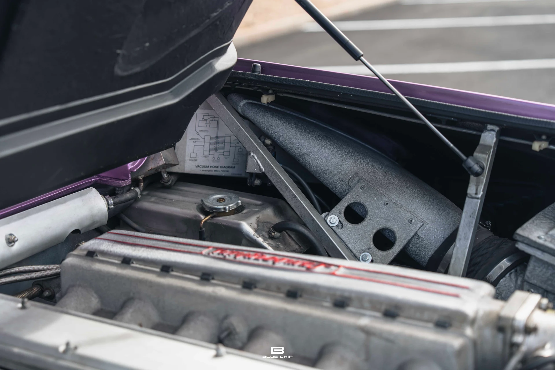 mph074_2100909523_68965f412b7251d7b51e6282_DSC_02185_10b58cd41f