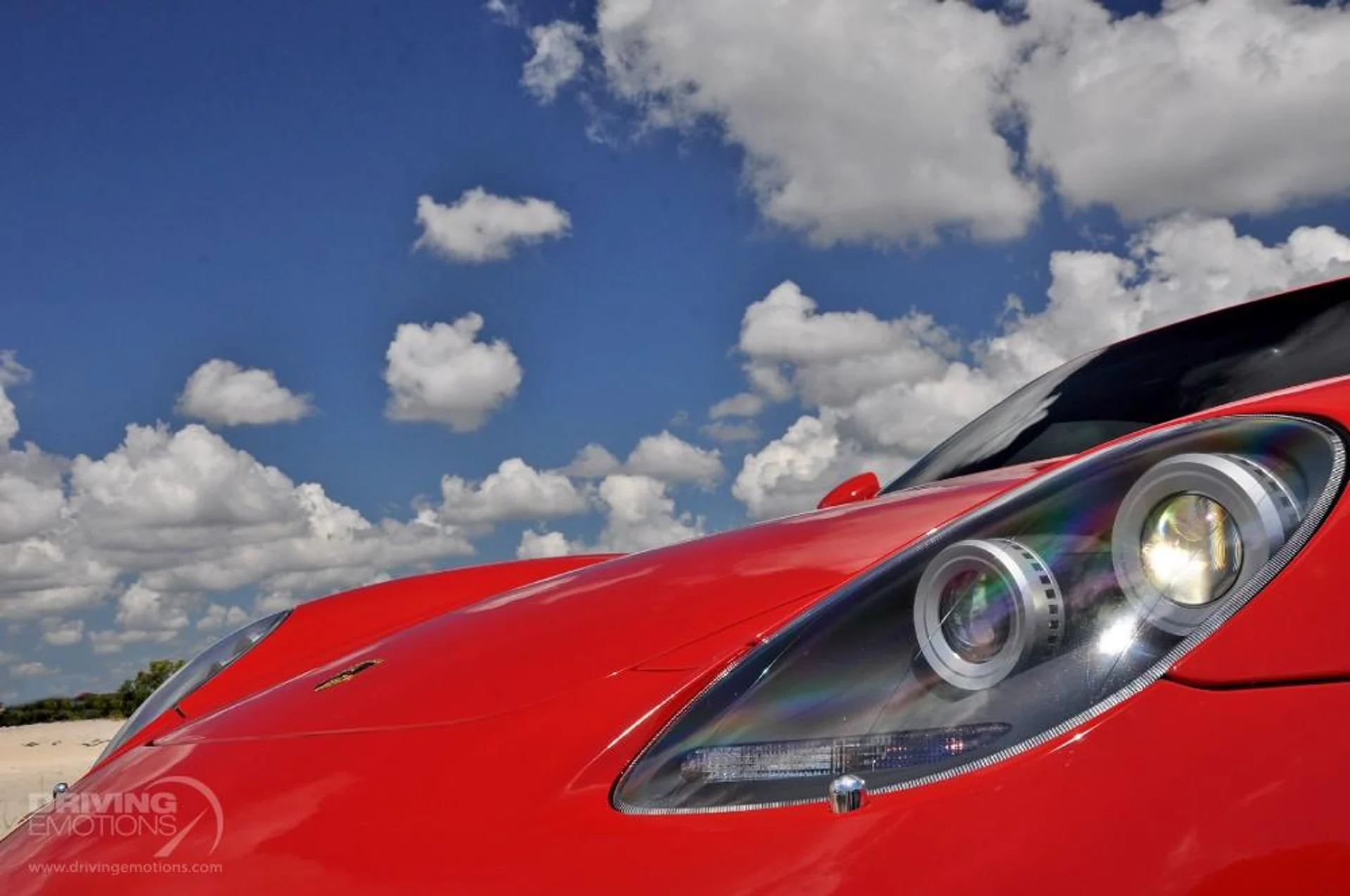 mph074_4170105834_186_p75_l_aa2ffc5054