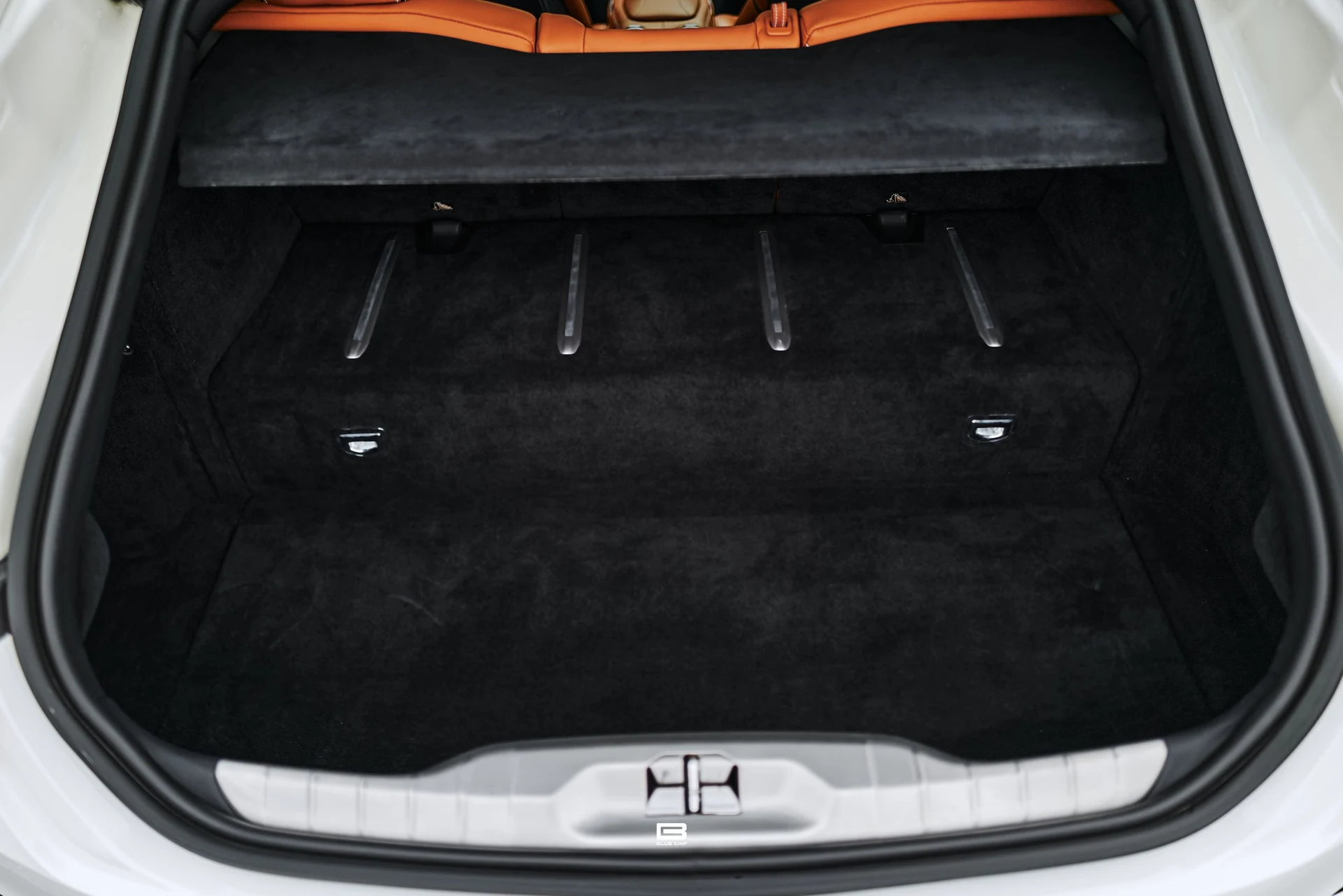 mph074_597226961_69e2a4a18ccc43438fe62916_L1220609_afe4979d8d