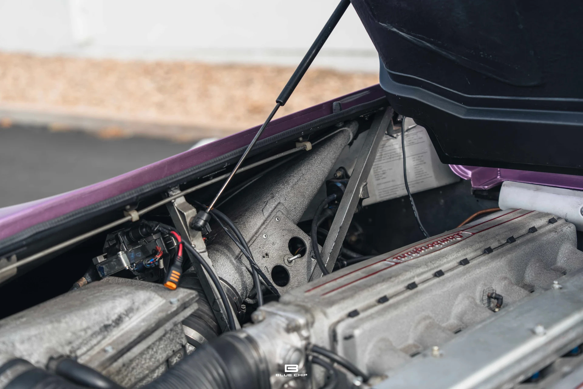 mph075_14614814_68965f432195cd4919ca1a40_DSC_02186_98fd20985f