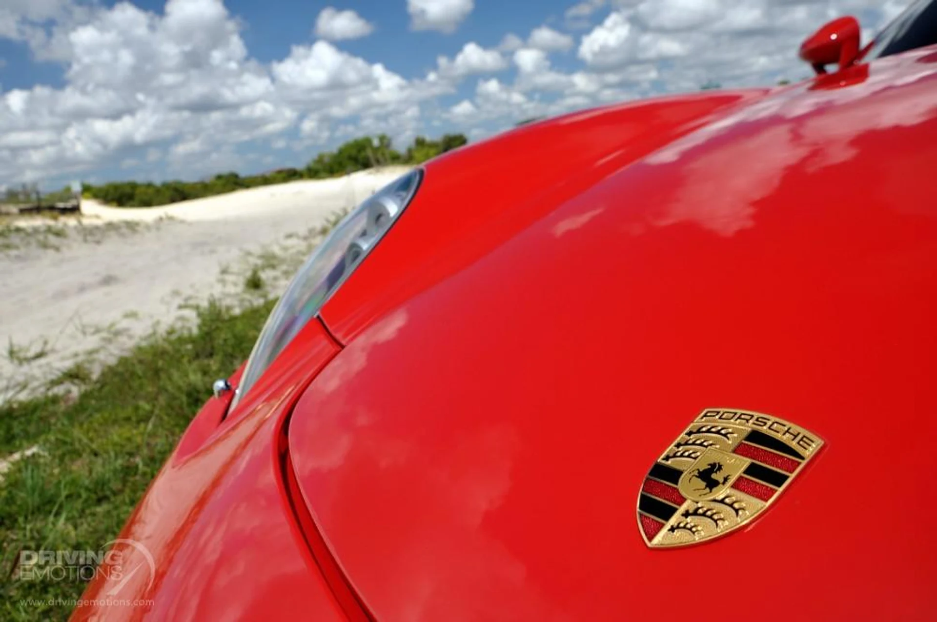 mph075_3046283559_186_p76_l_3414696b93