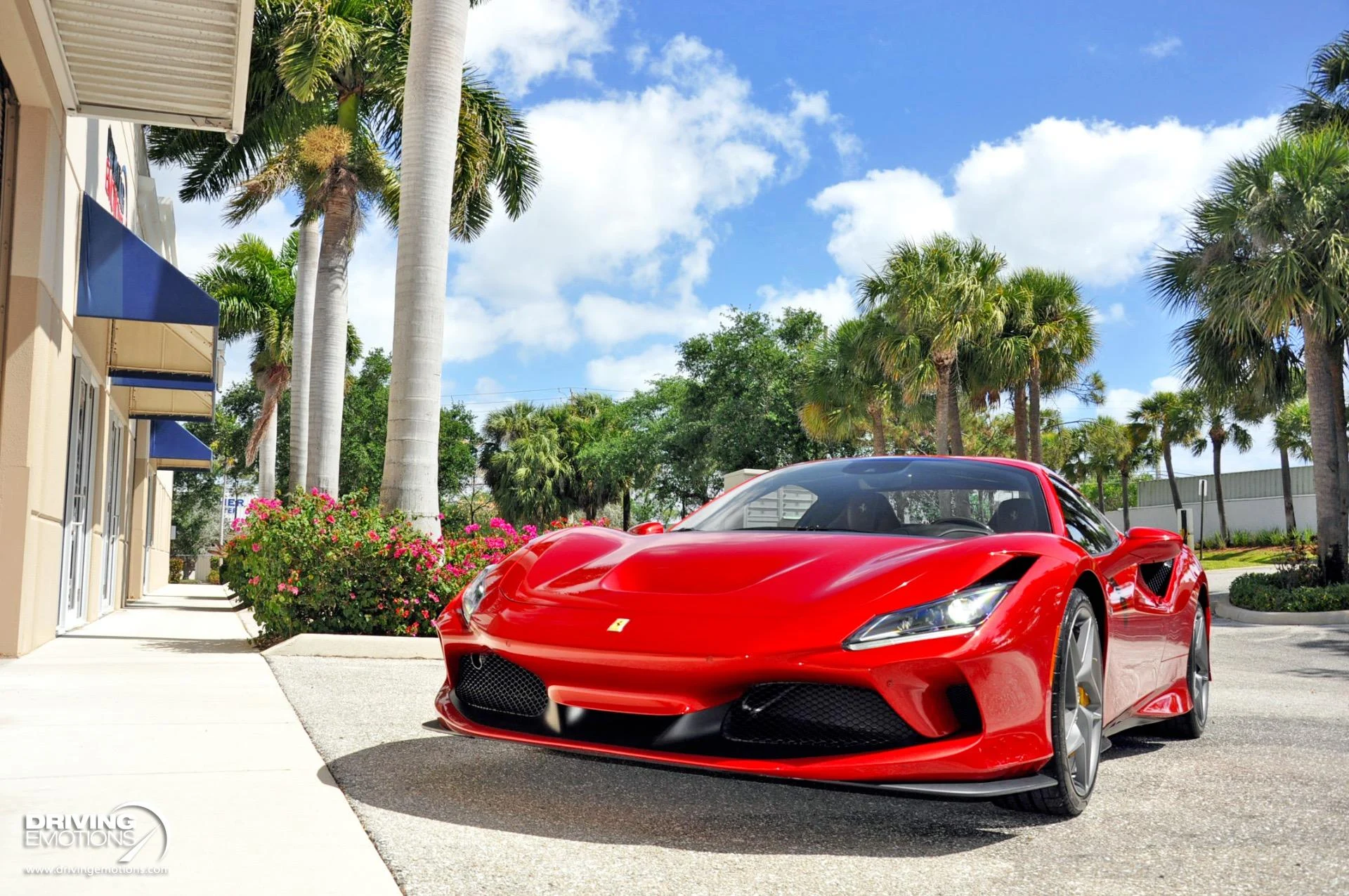 mph076_1995412966_896_p77_l_bf69d5772d