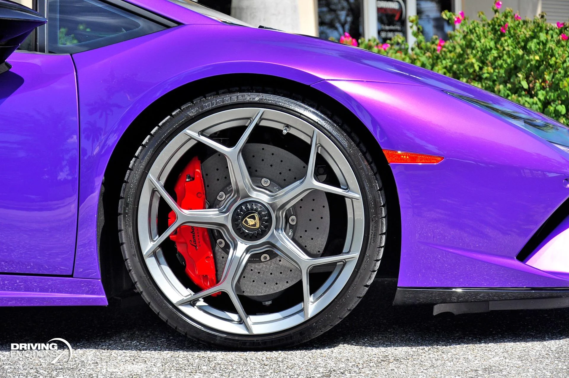 mph076_2060179992_863_p77_l_5ec4df1514