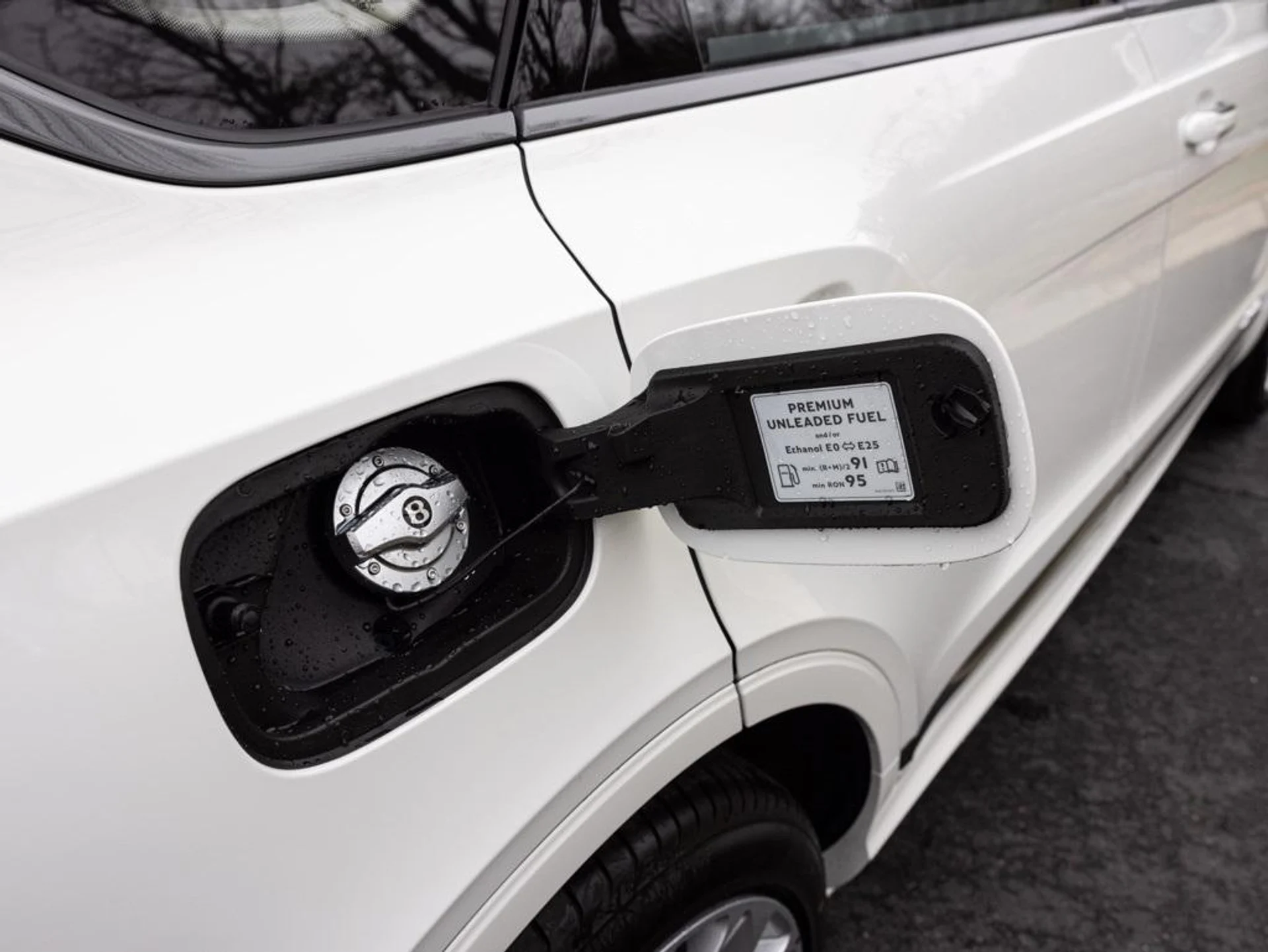 mph076_291422742_480417656_693907d5be3adbc4f79da685_6580baab19