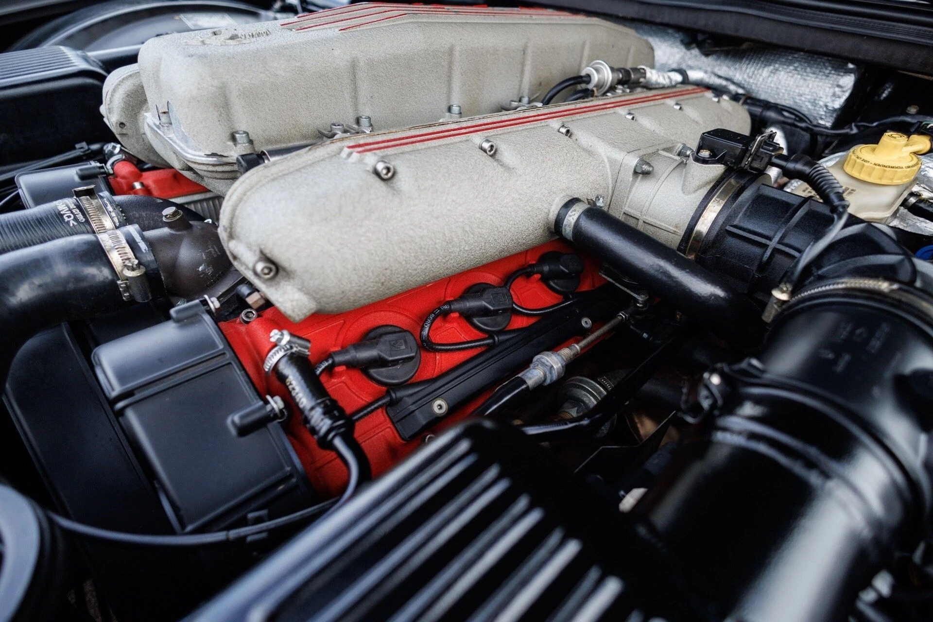 mph076_3893936634_c806eb89b97f69f81090957543885425x_0fb9126cea