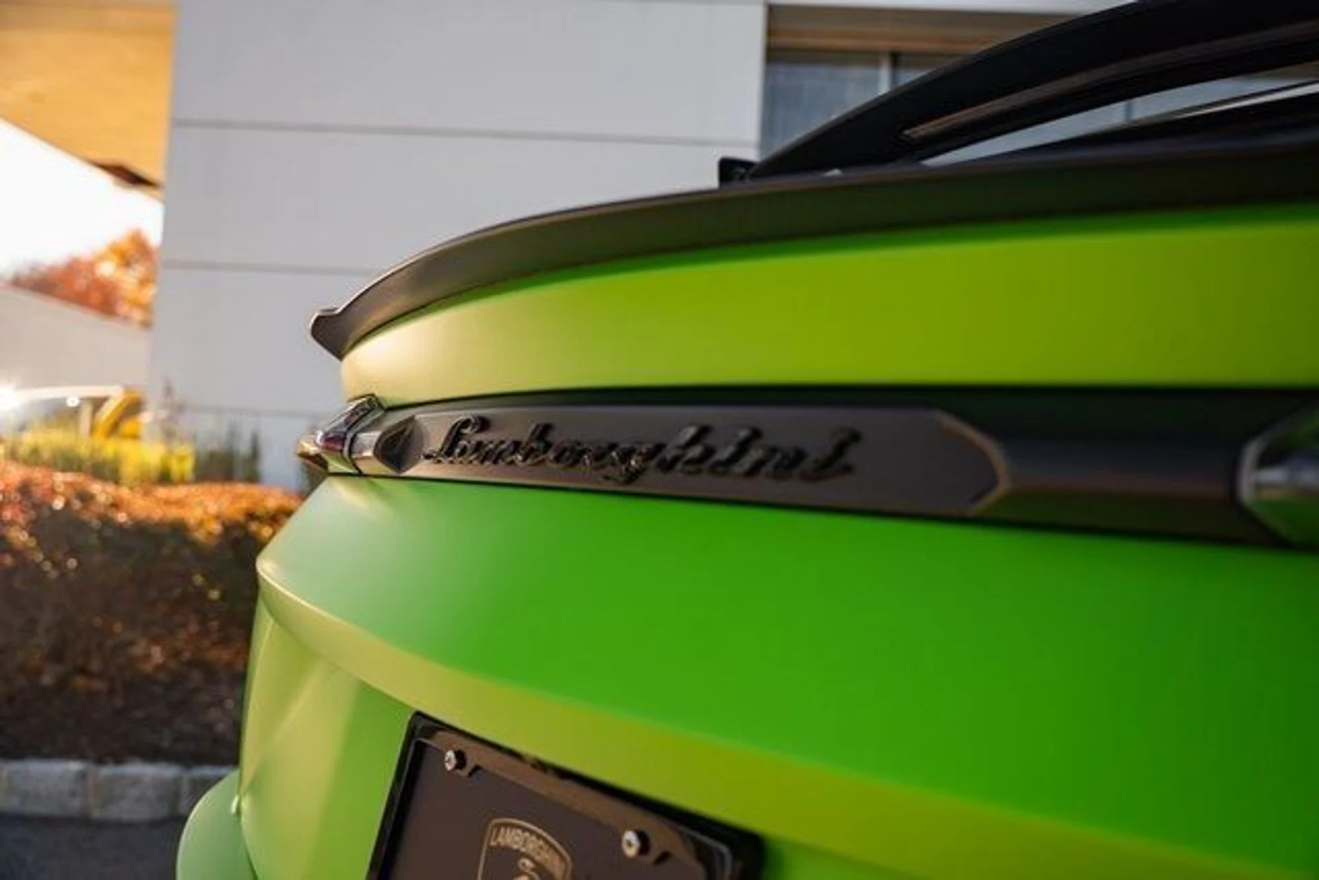 mph076_4140884979_b27ab1369927cd00c30f63700e9f12b8_db4d031e22