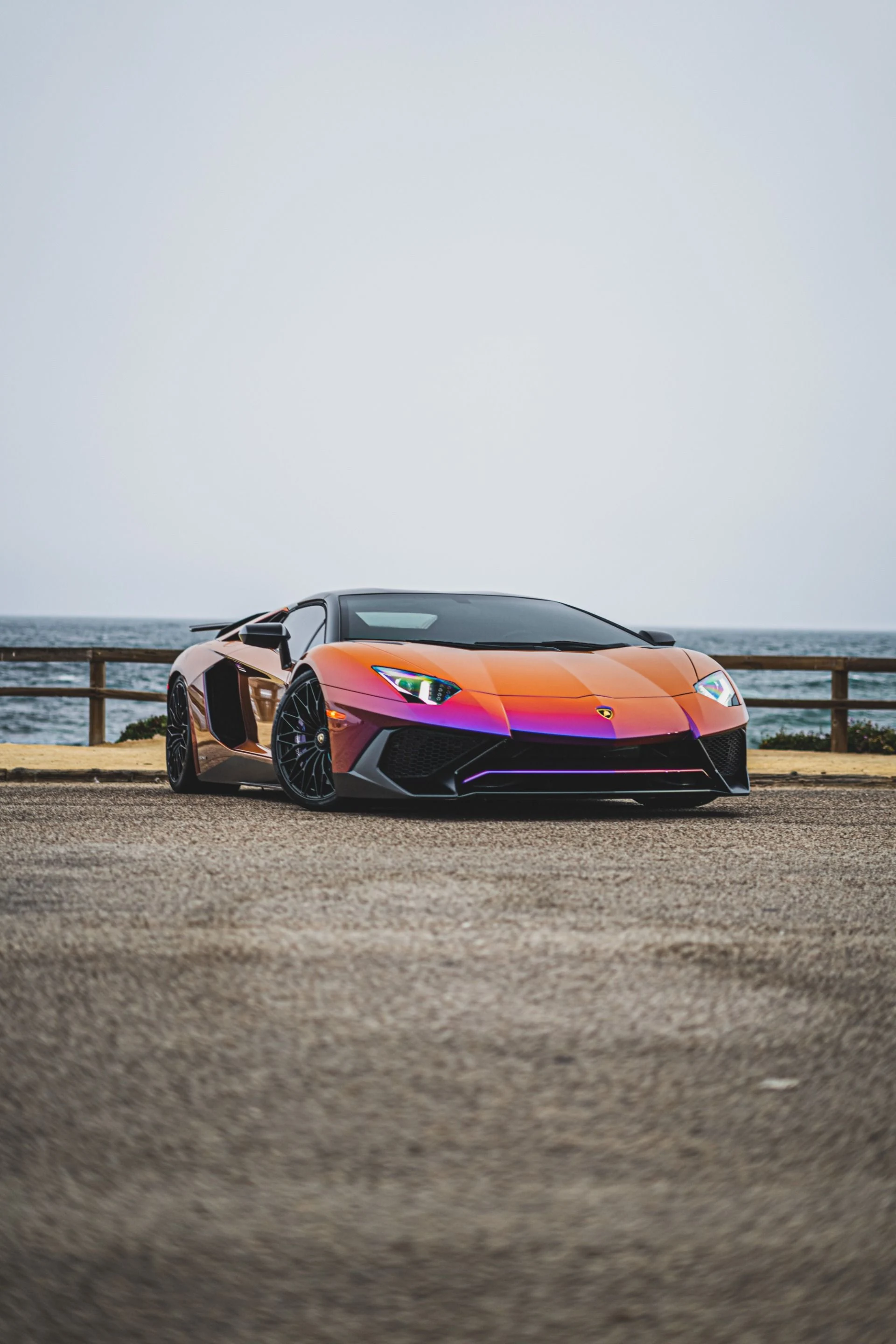 mph076_4194681553_8742_p77_l_acdb5ef6b1