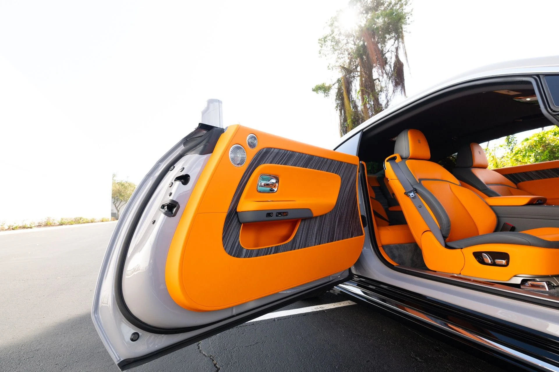 mph077_1614163179_Used_2024_Rolls_Royce_Spectre_1772250917_24d55f1034