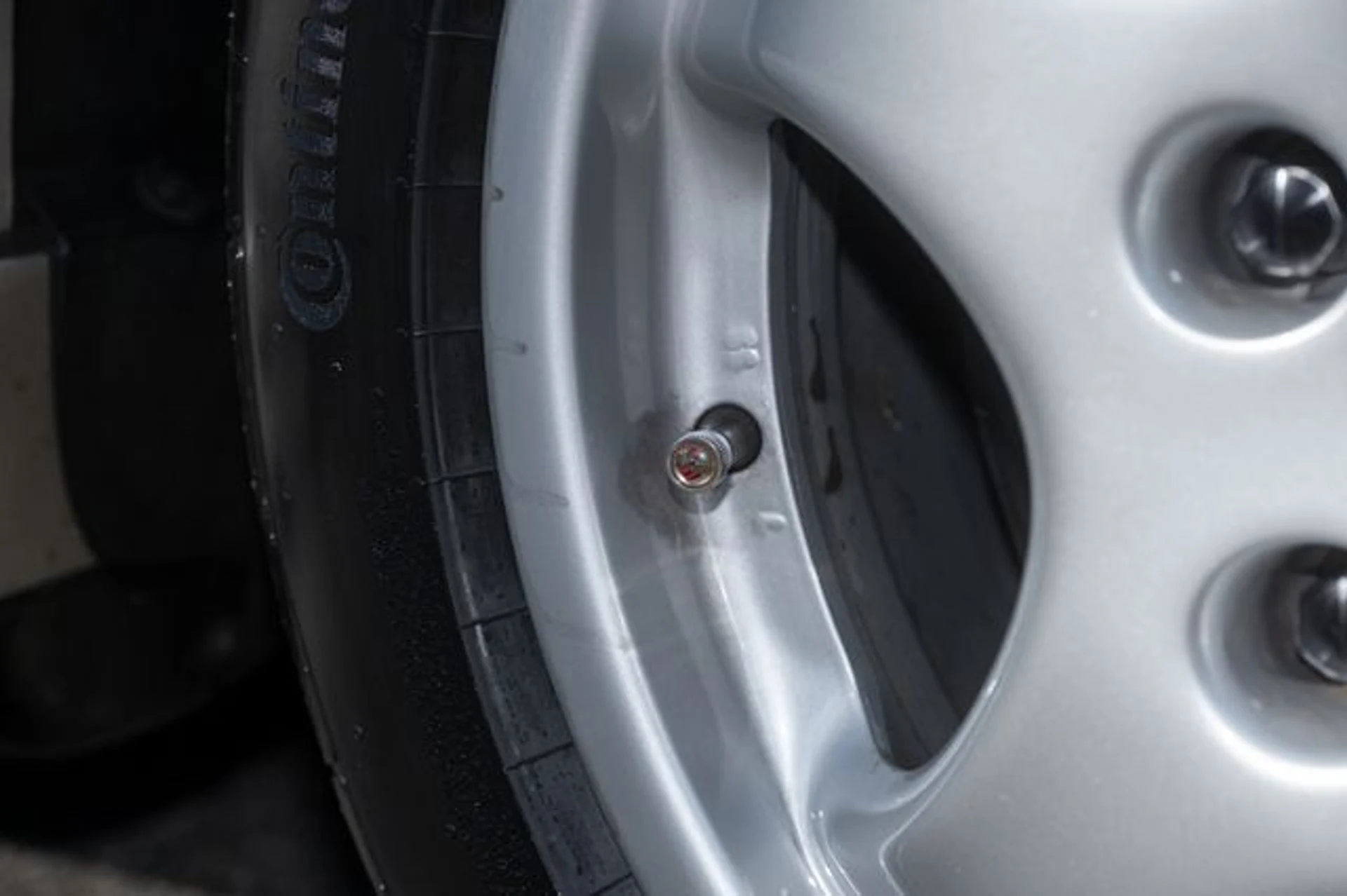 mph077_230529765_7327d77154ee009af3db9281bbab0d24_3c5c2072a4